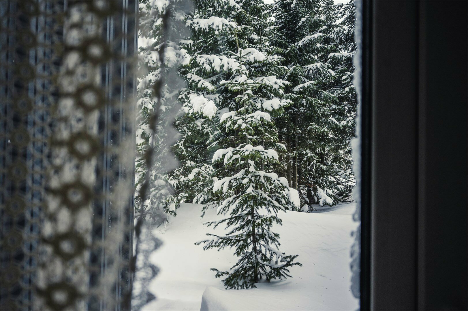 Дом с видом на горы