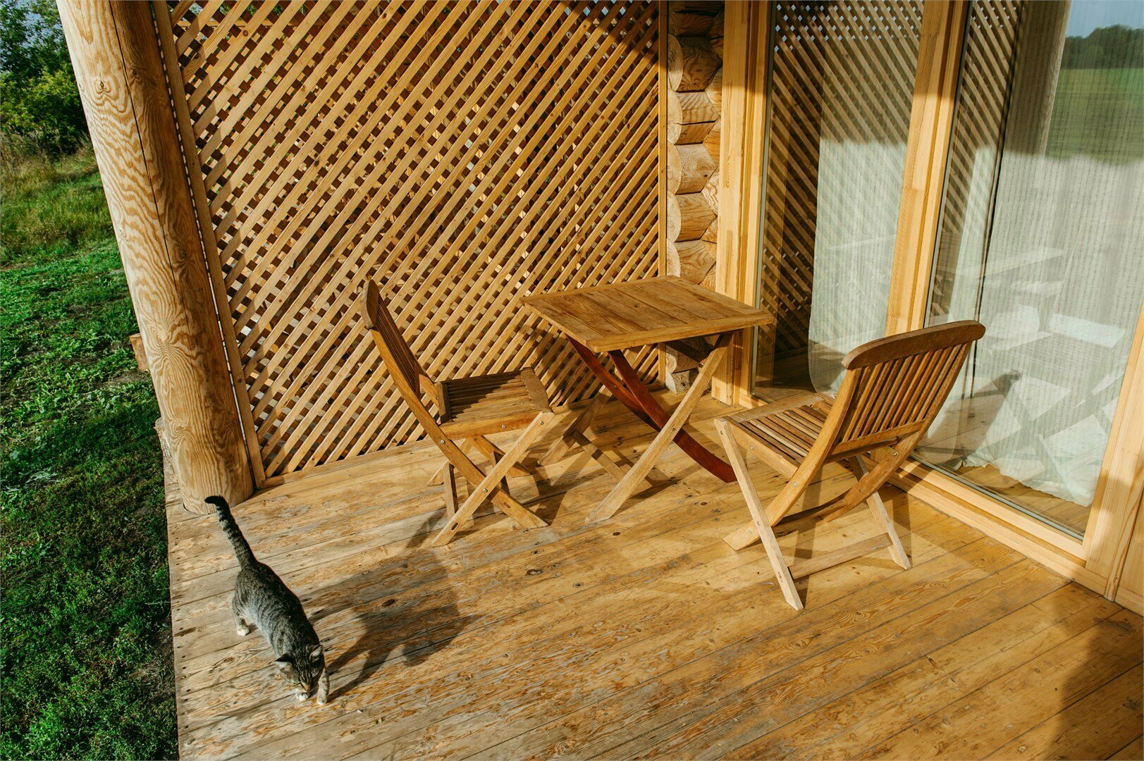 Номер с панорамными окнами в дворовой избе "Берёзки"