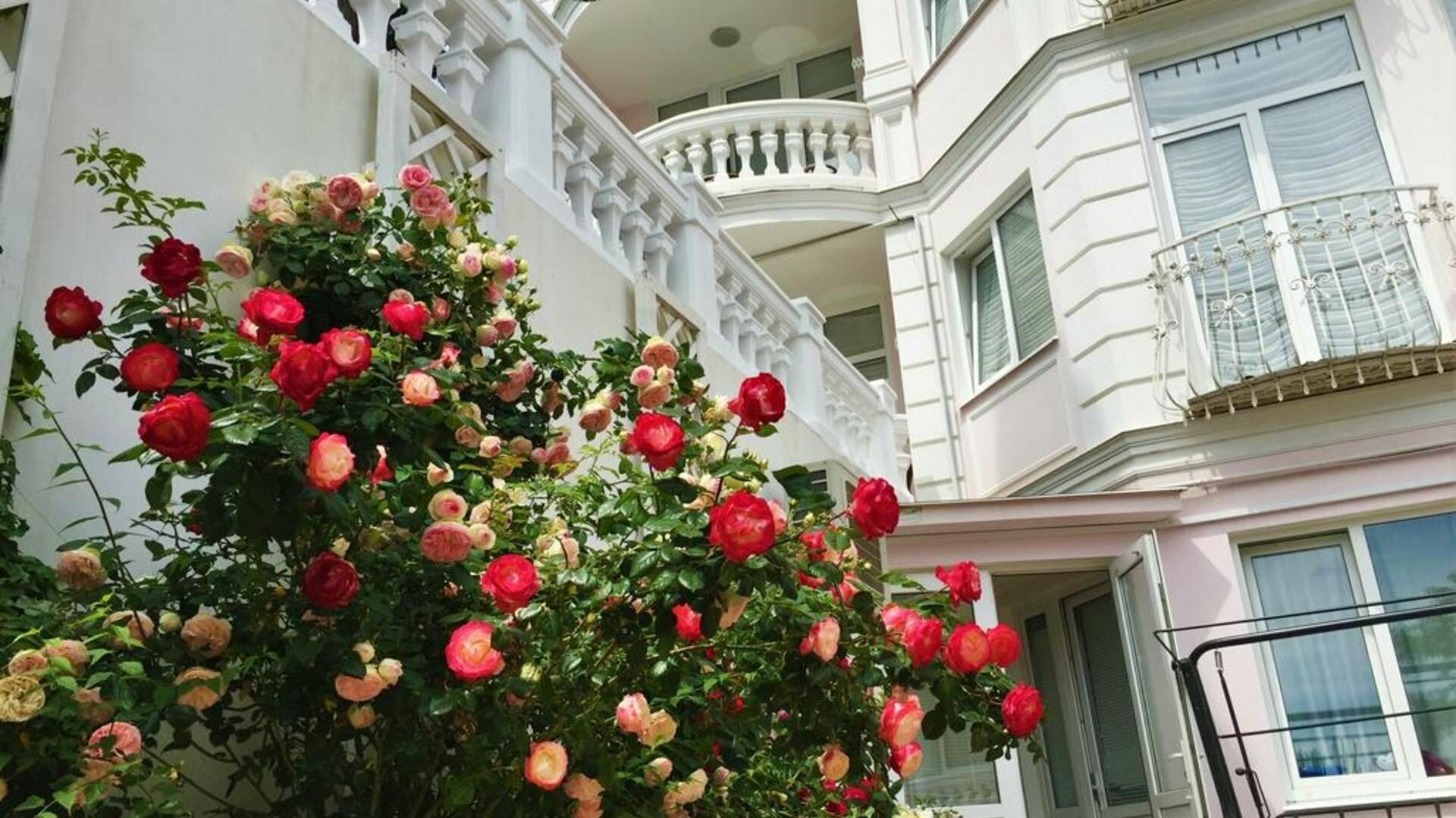 Двухкомнатный Комфорт море, с террасой, DBL / TWIN