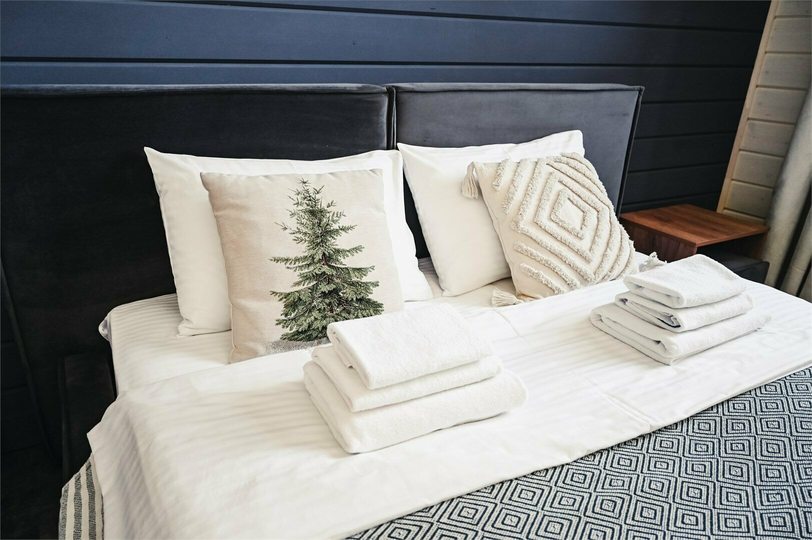 Барнхаус "Chamonix"