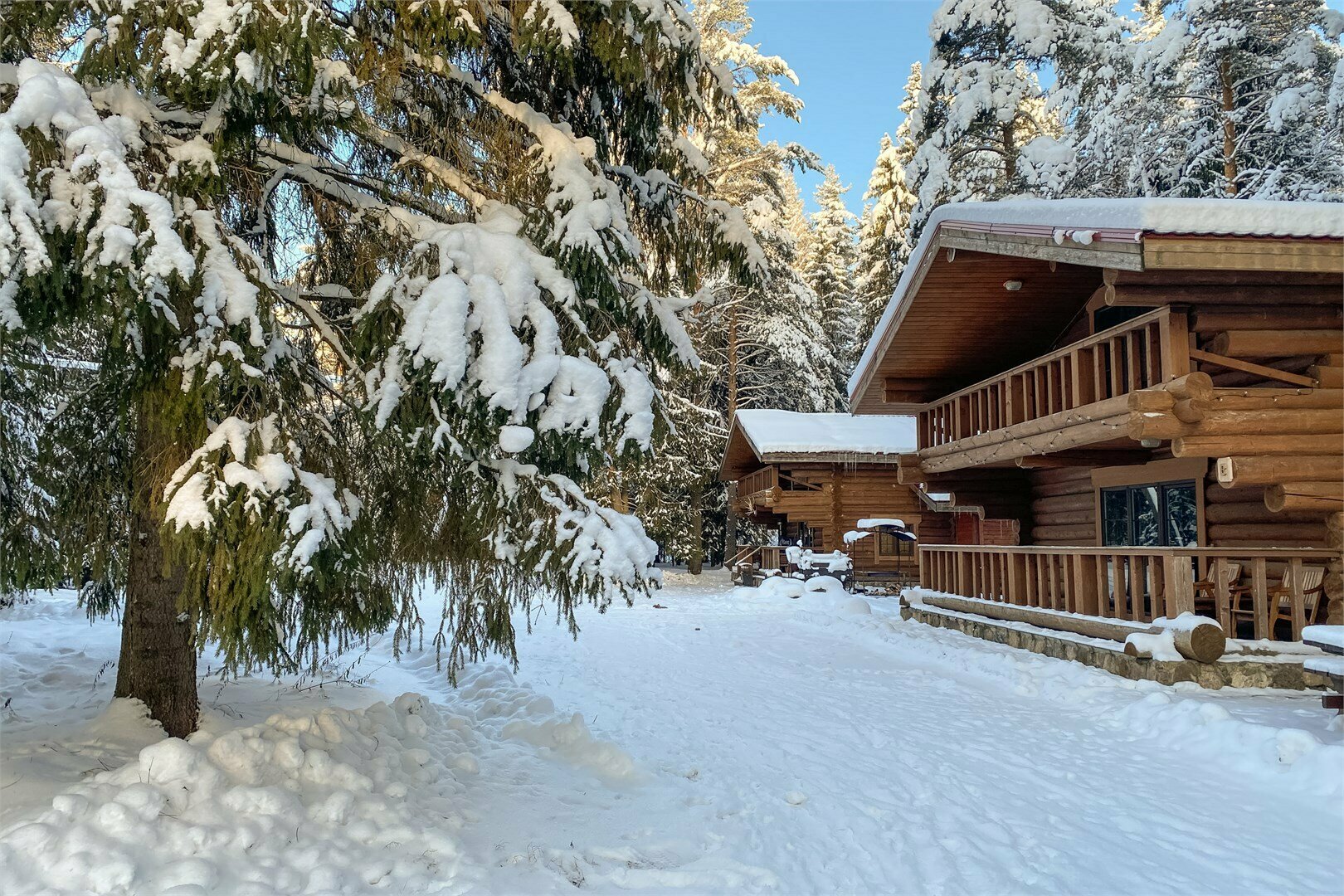 Студия (семейная)