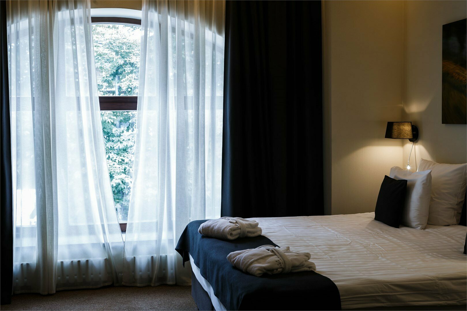 Джуниор Сюит