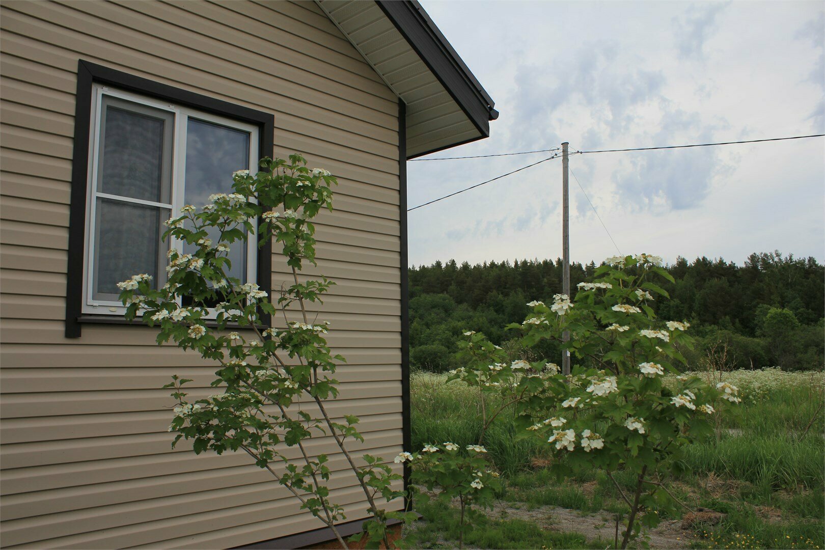 3 дом "Паула"