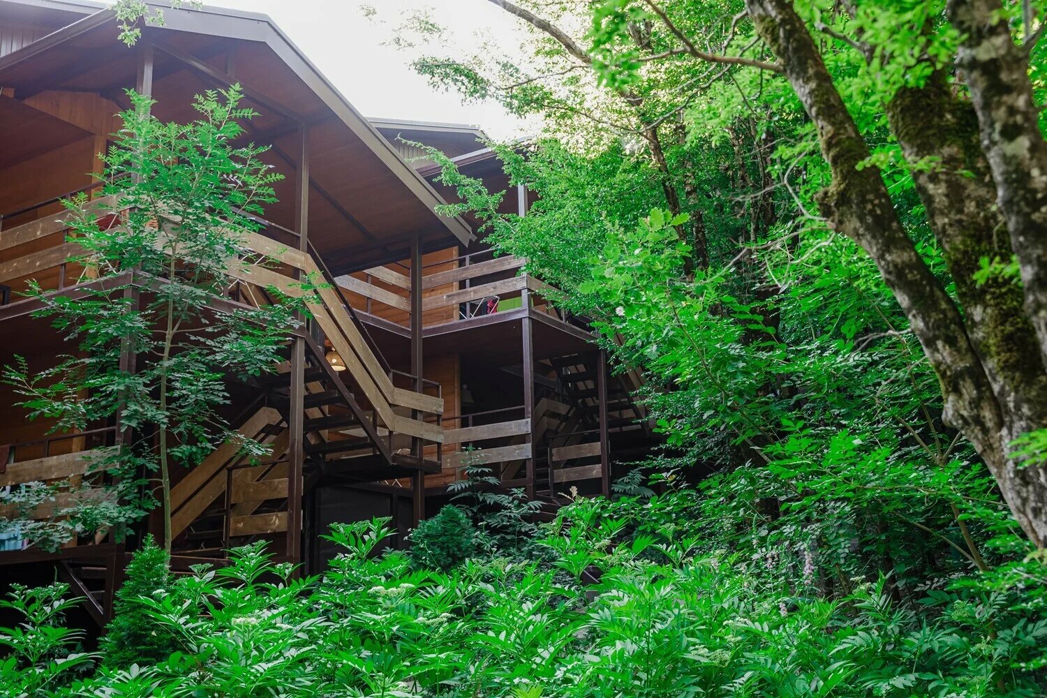 Двухместный номер с 2 отдельными кроватями и террасой