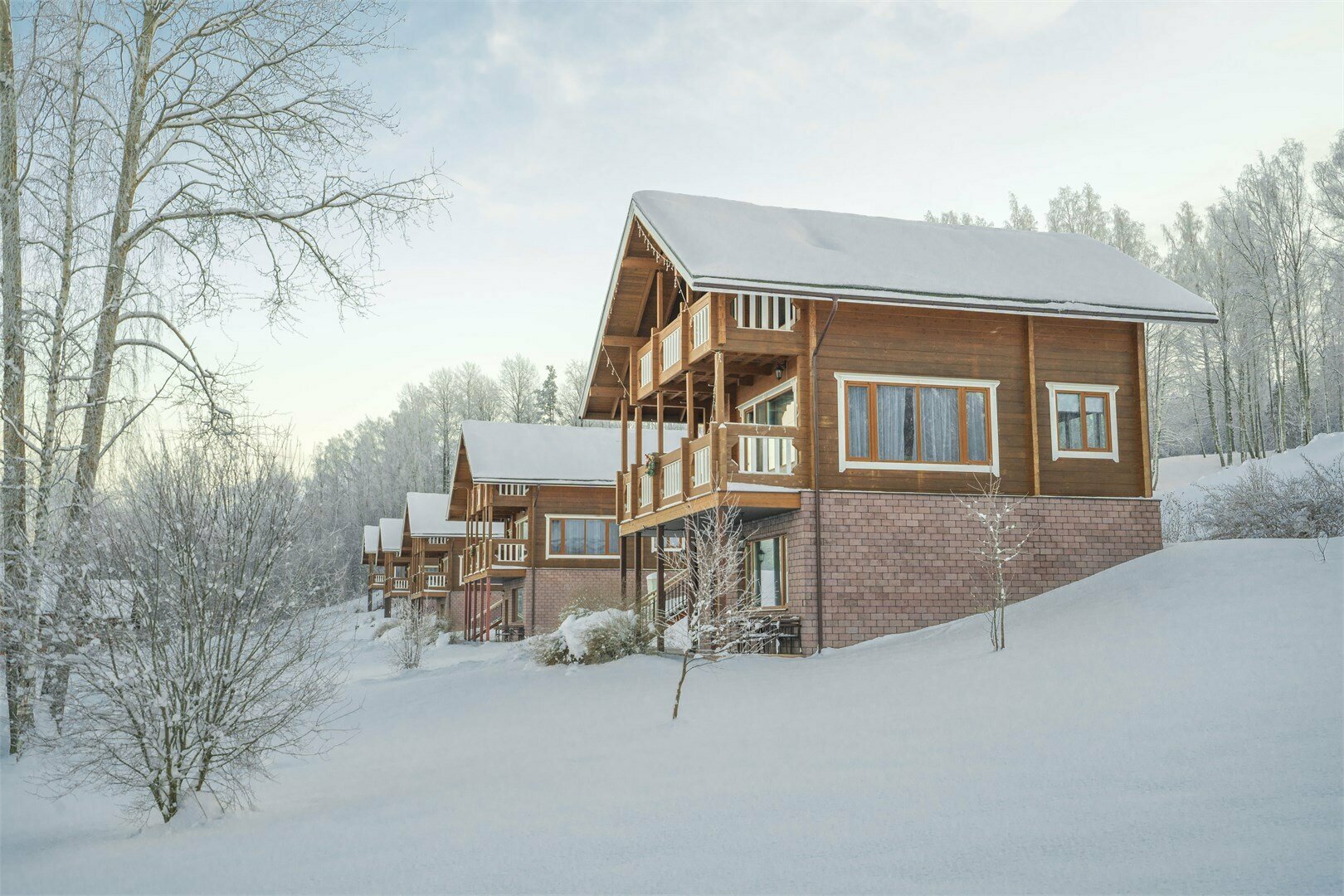 Ореховая линия