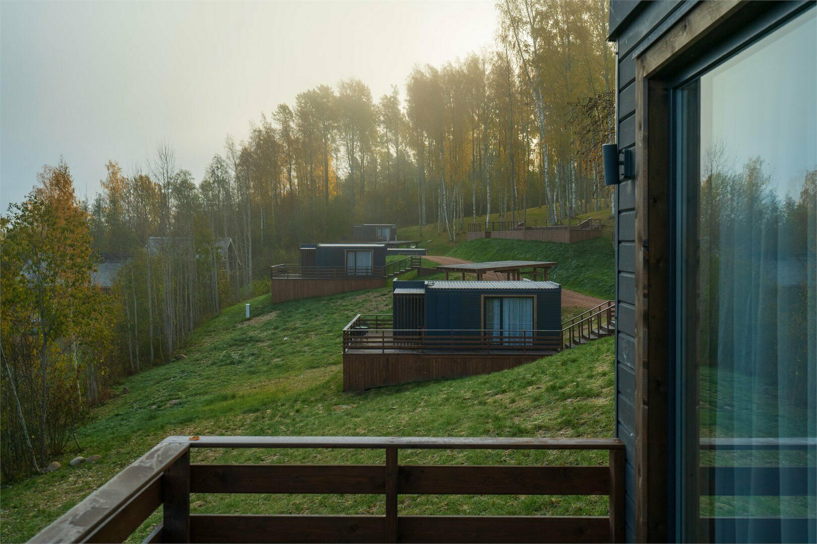 Ольховая линия