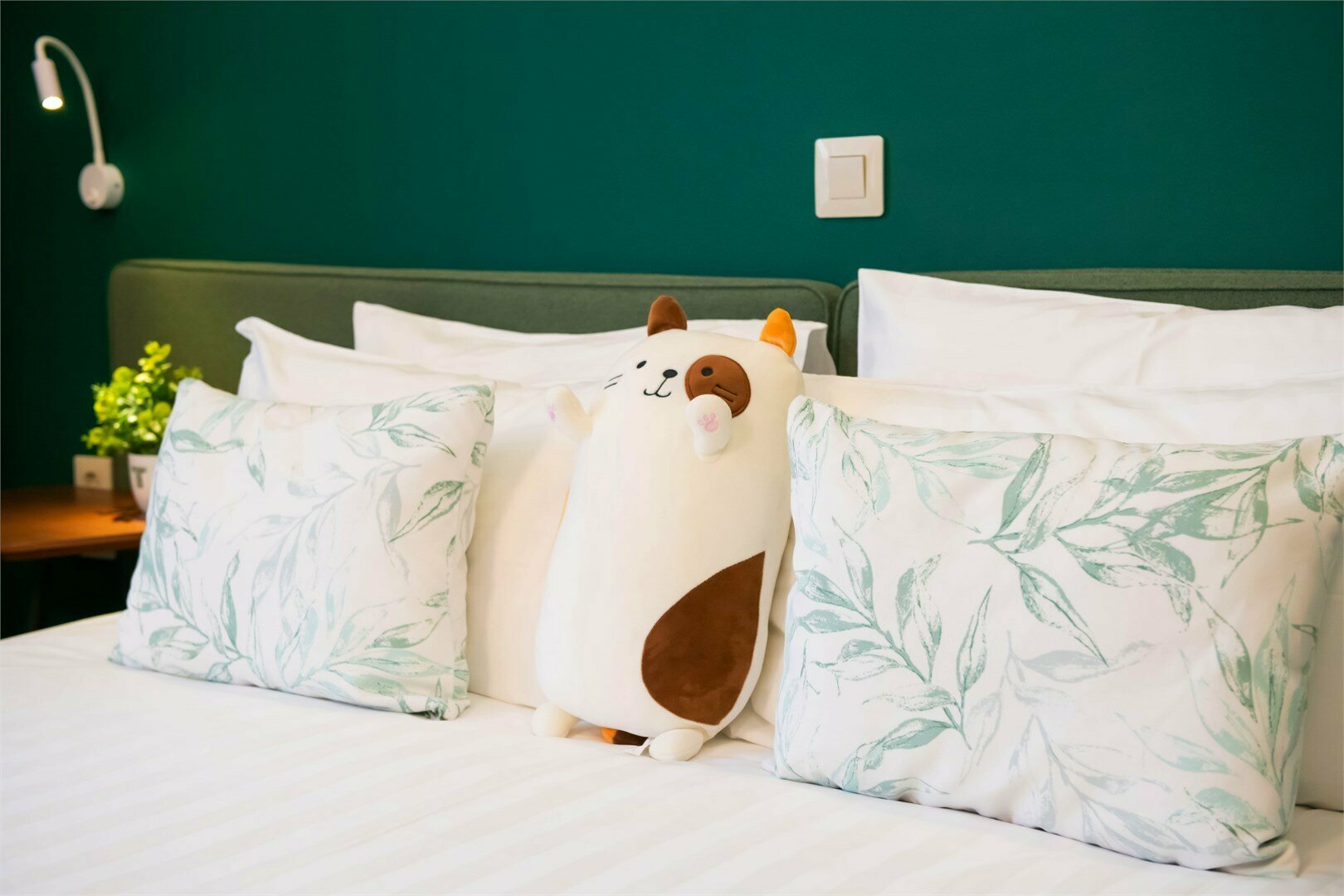 Джуниор Сюит "Плюс"