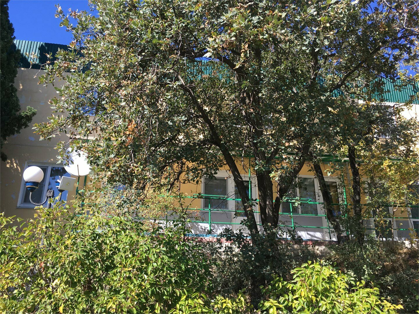 Стандарт № 10 (1,3)