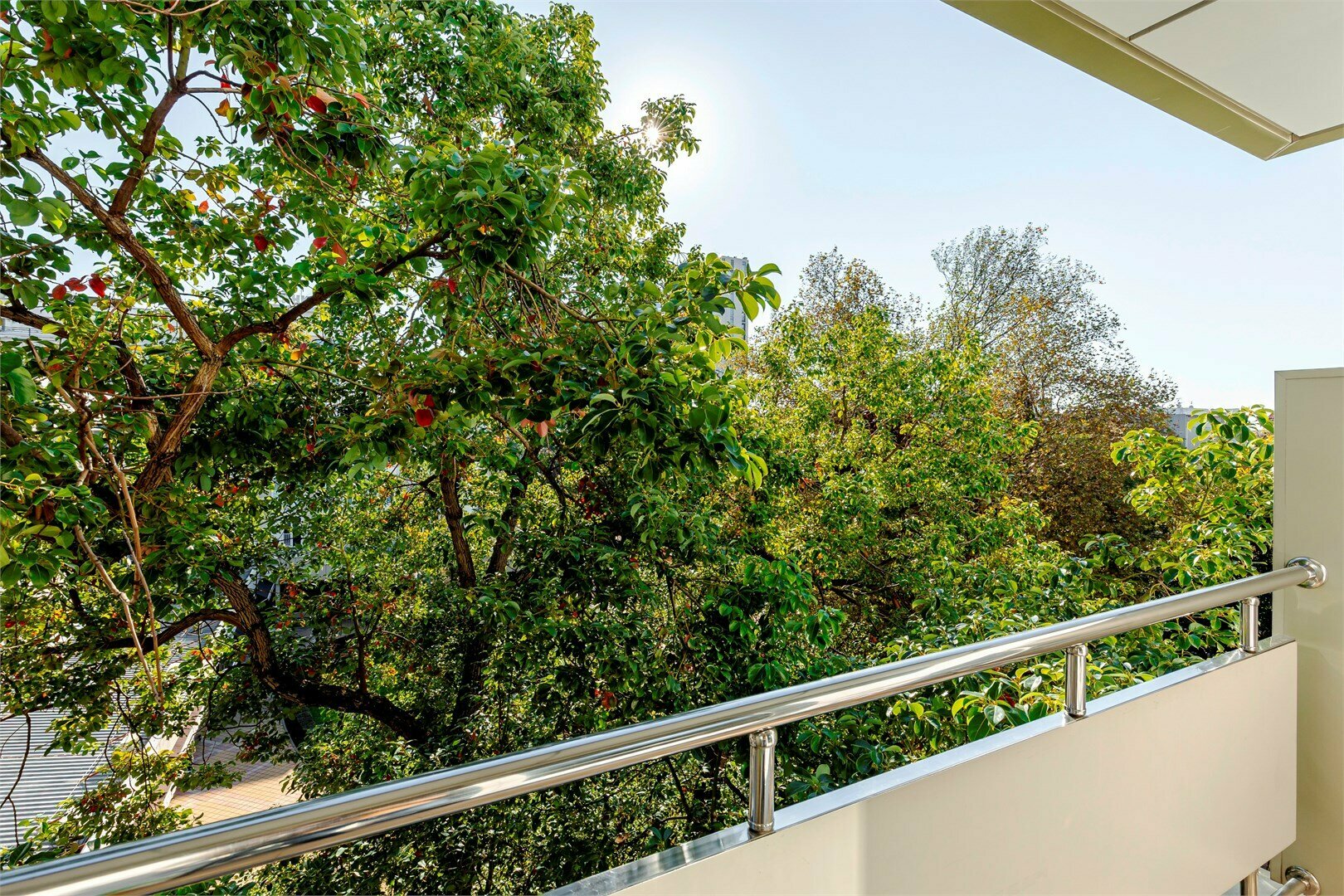 Одноместный номер с балконом и общими удобствами на этаже