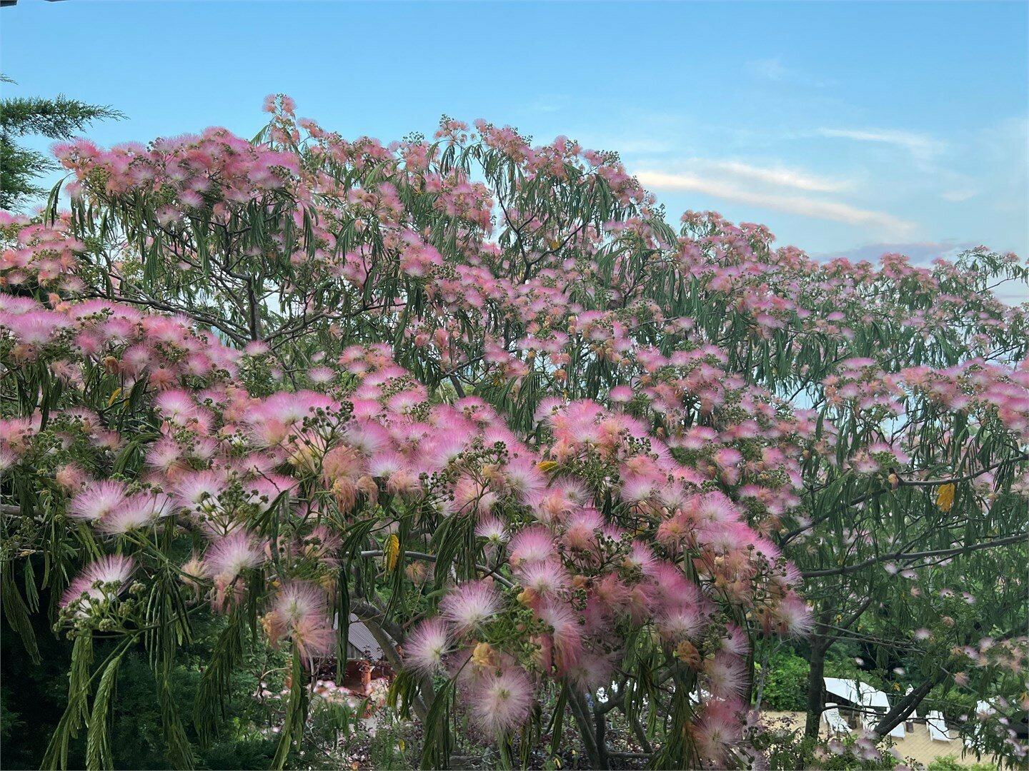 "Супериор" - с лоджией.