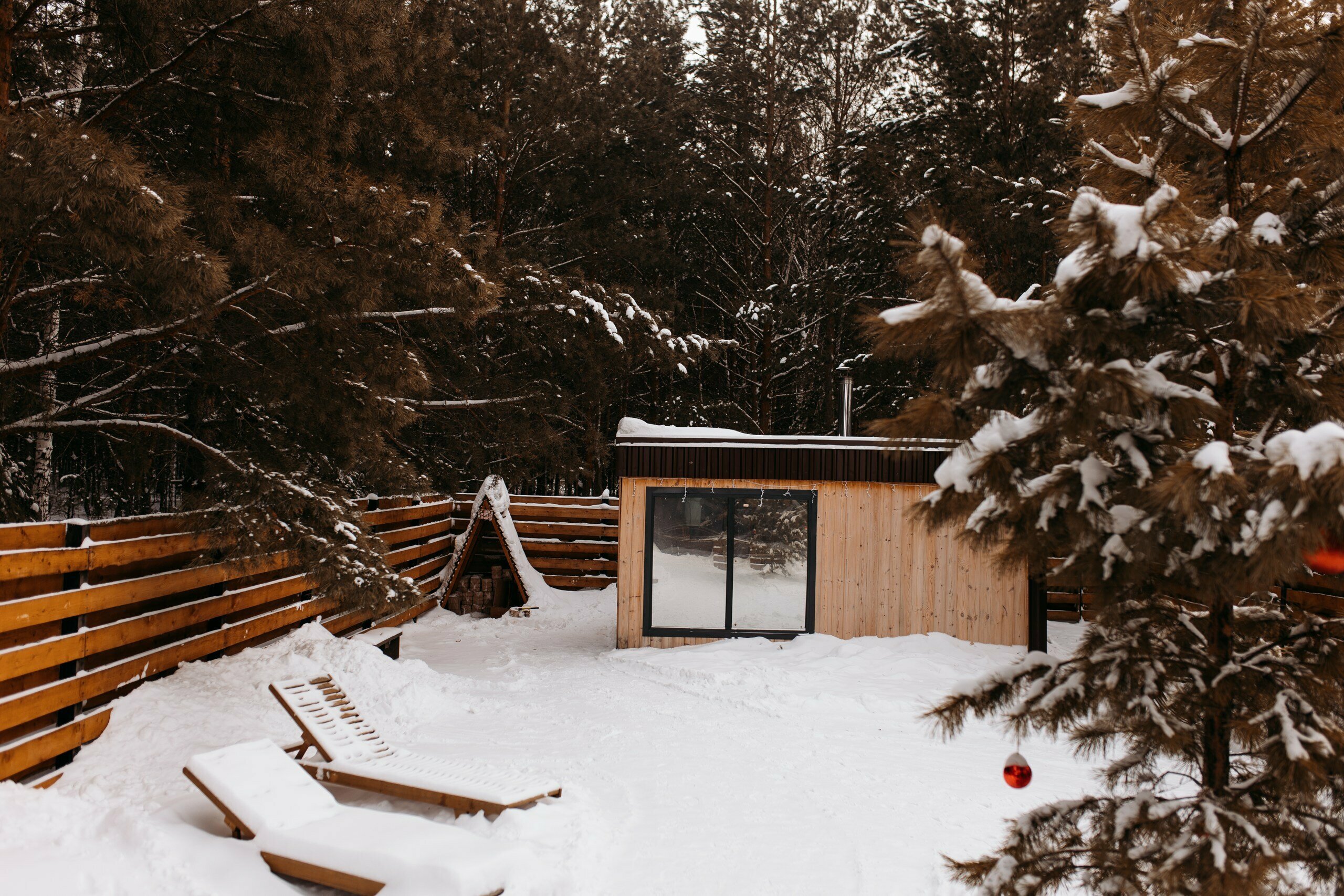 Дом с видом на лес