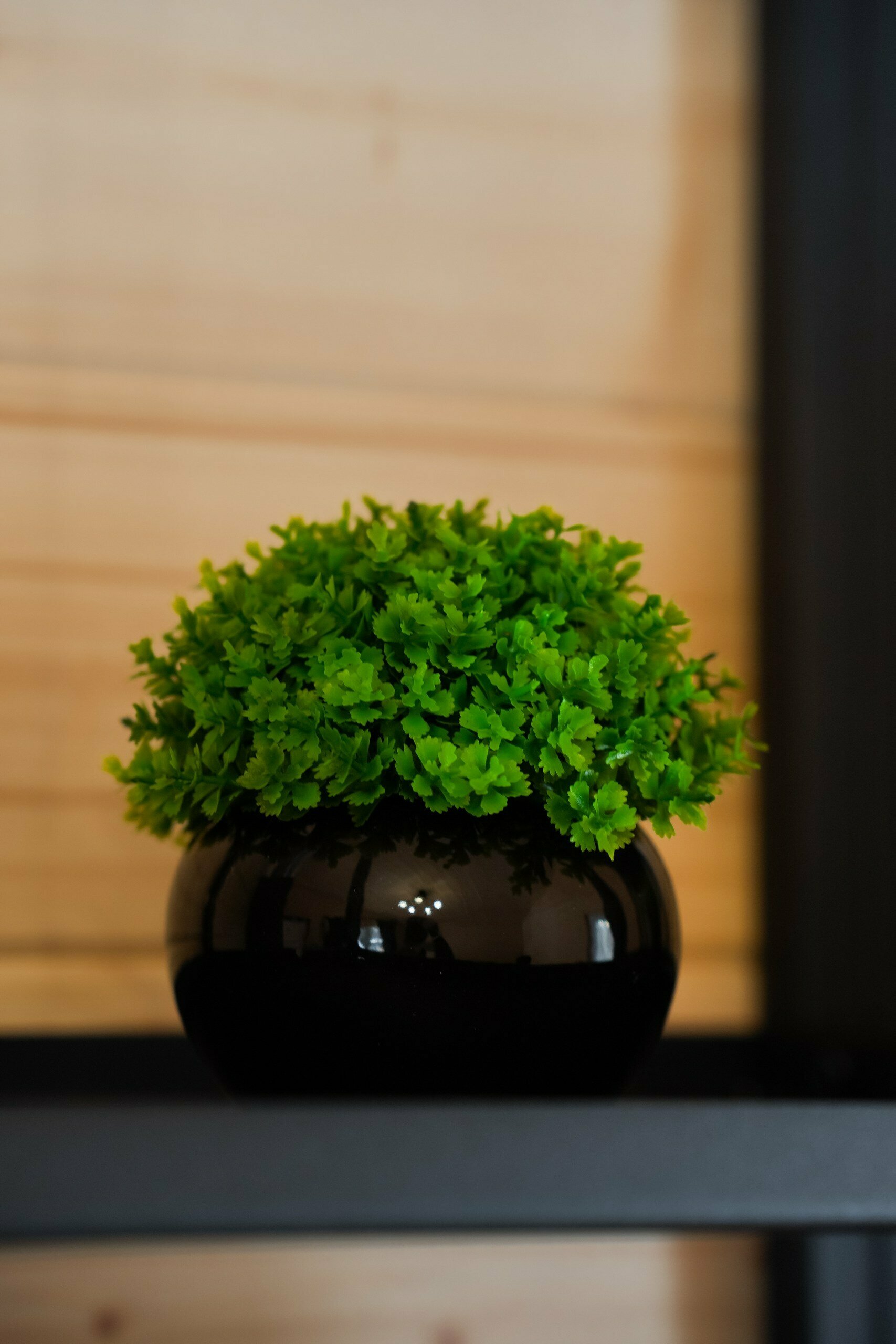 Дом для отпуска