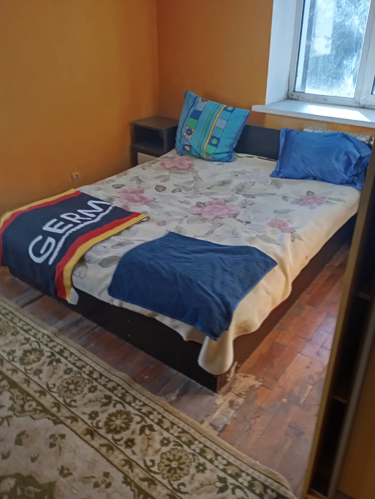 Двухместный номер с 1 кроватью и видом на парк