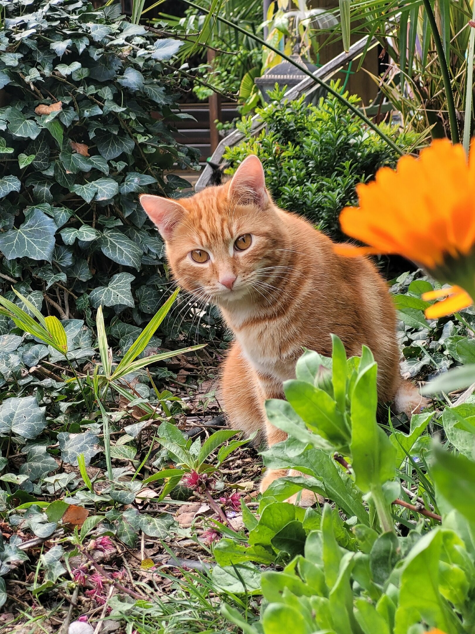 Двухместный номер Делюкс с 1 кроватью и балконом, вид на море