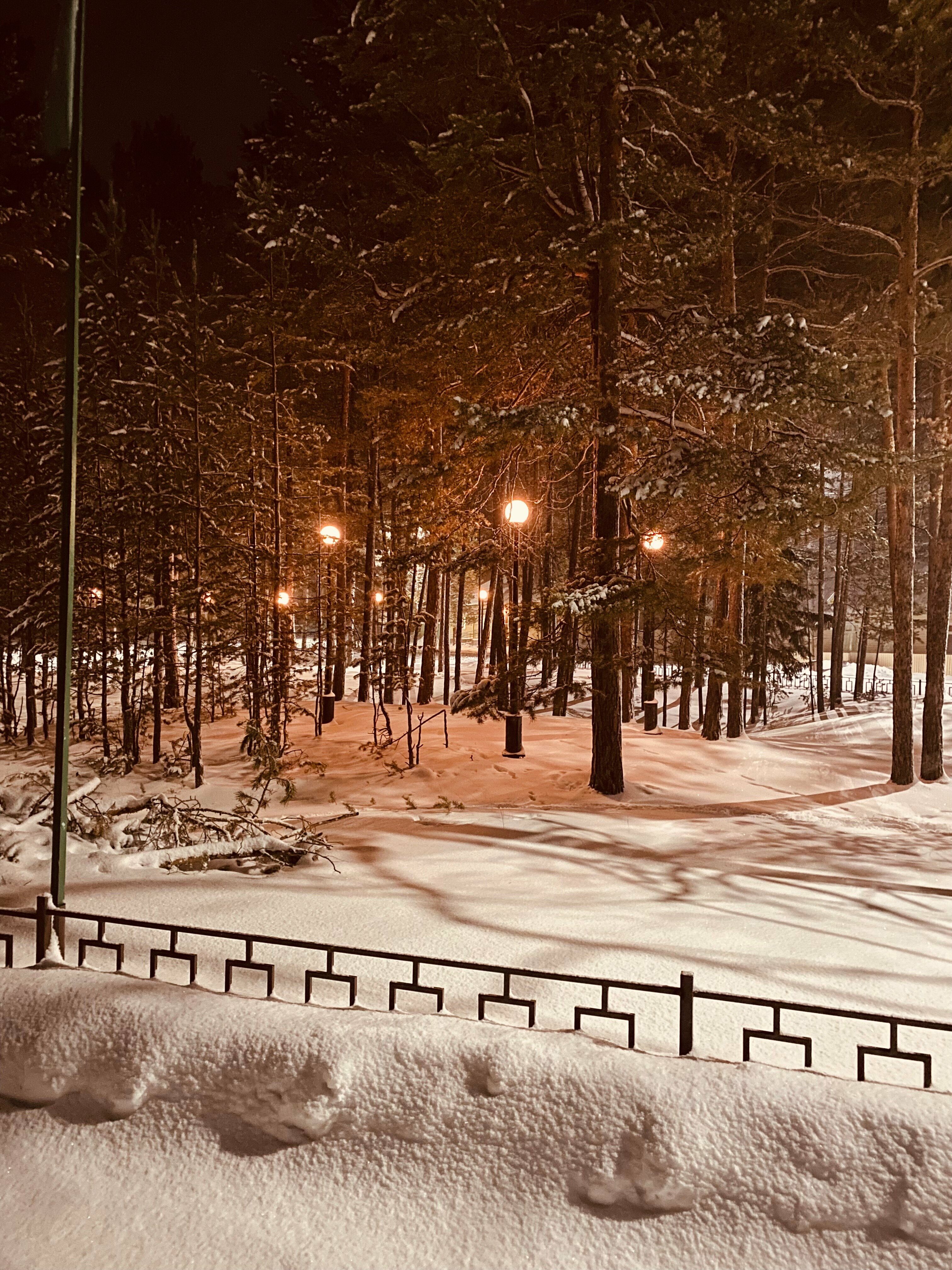 Одноместный номер