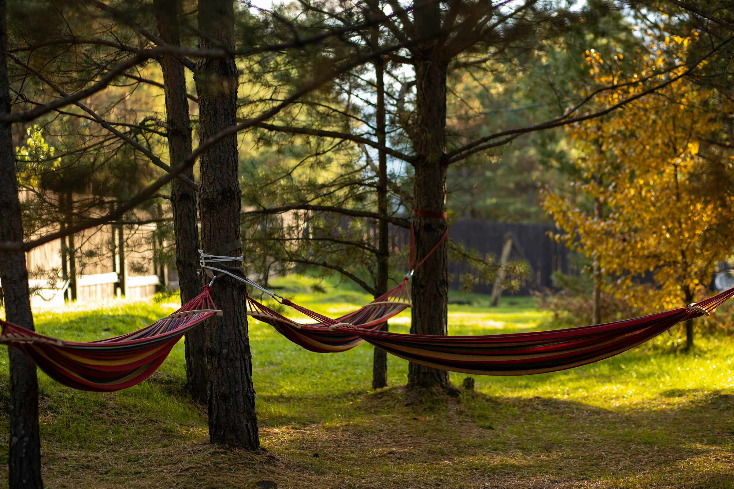 Двухместный номер Делюкс с 1 кроватью