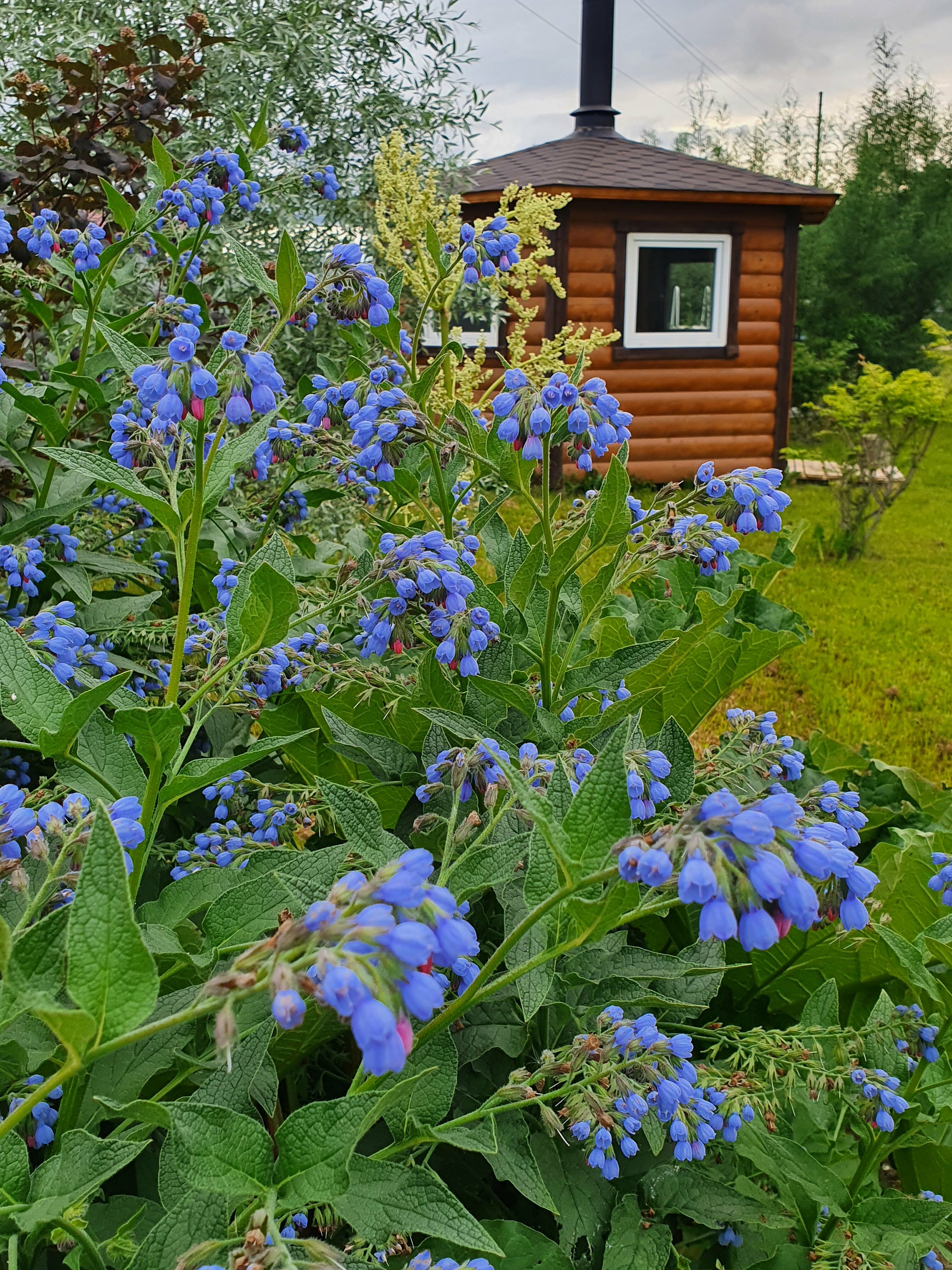 Дом с сауной