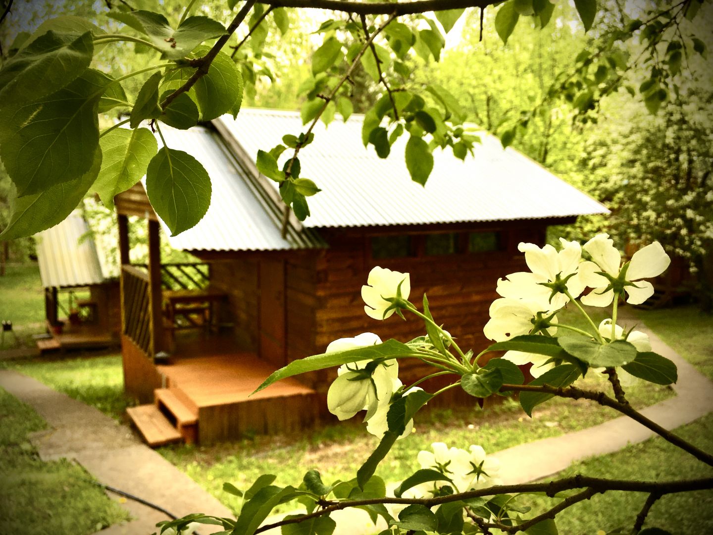 Бюджетный двухместный номер с 1 кроватью