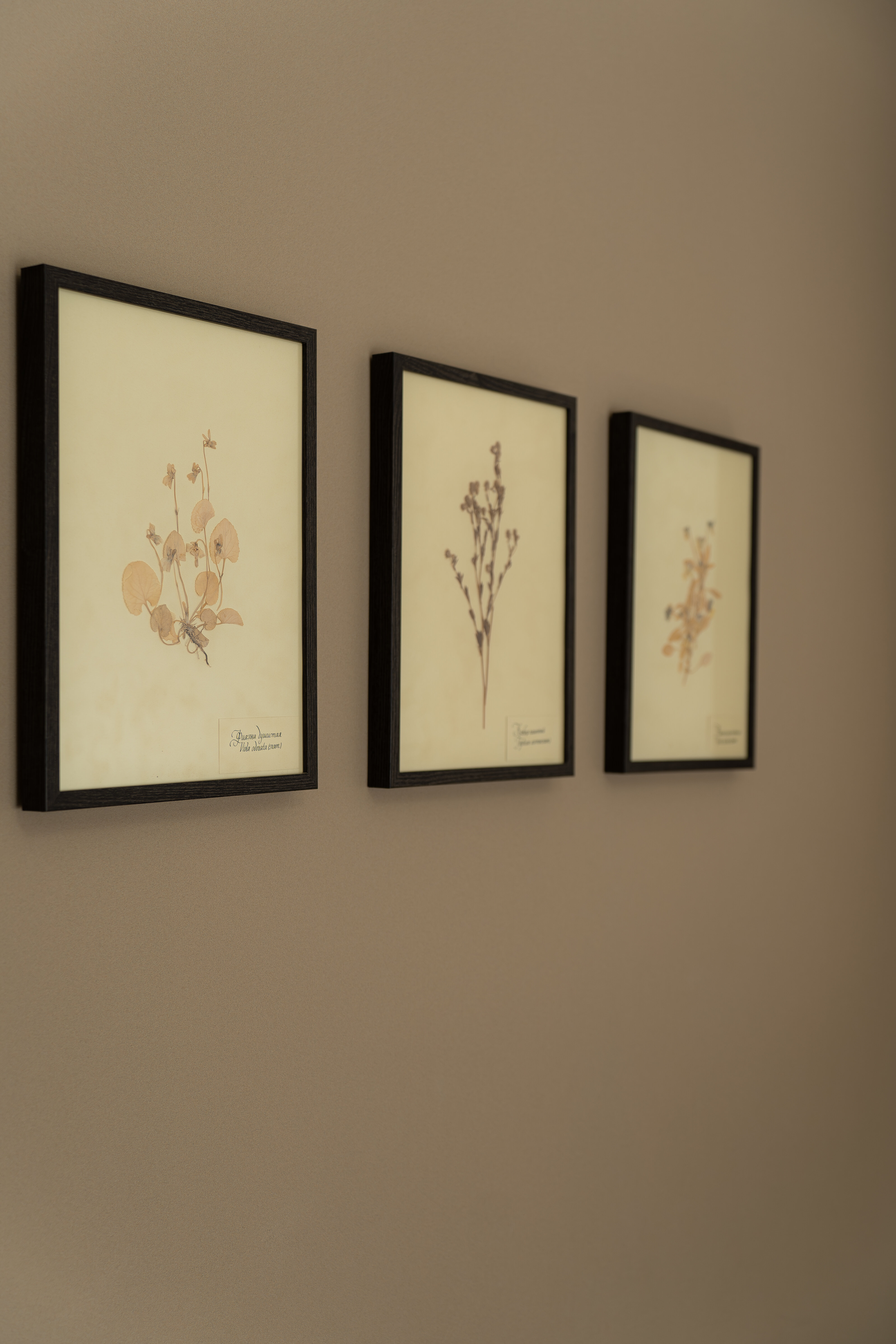 СТАНДАРТНЫЙ НОМЕР С БАЛКОНОМ