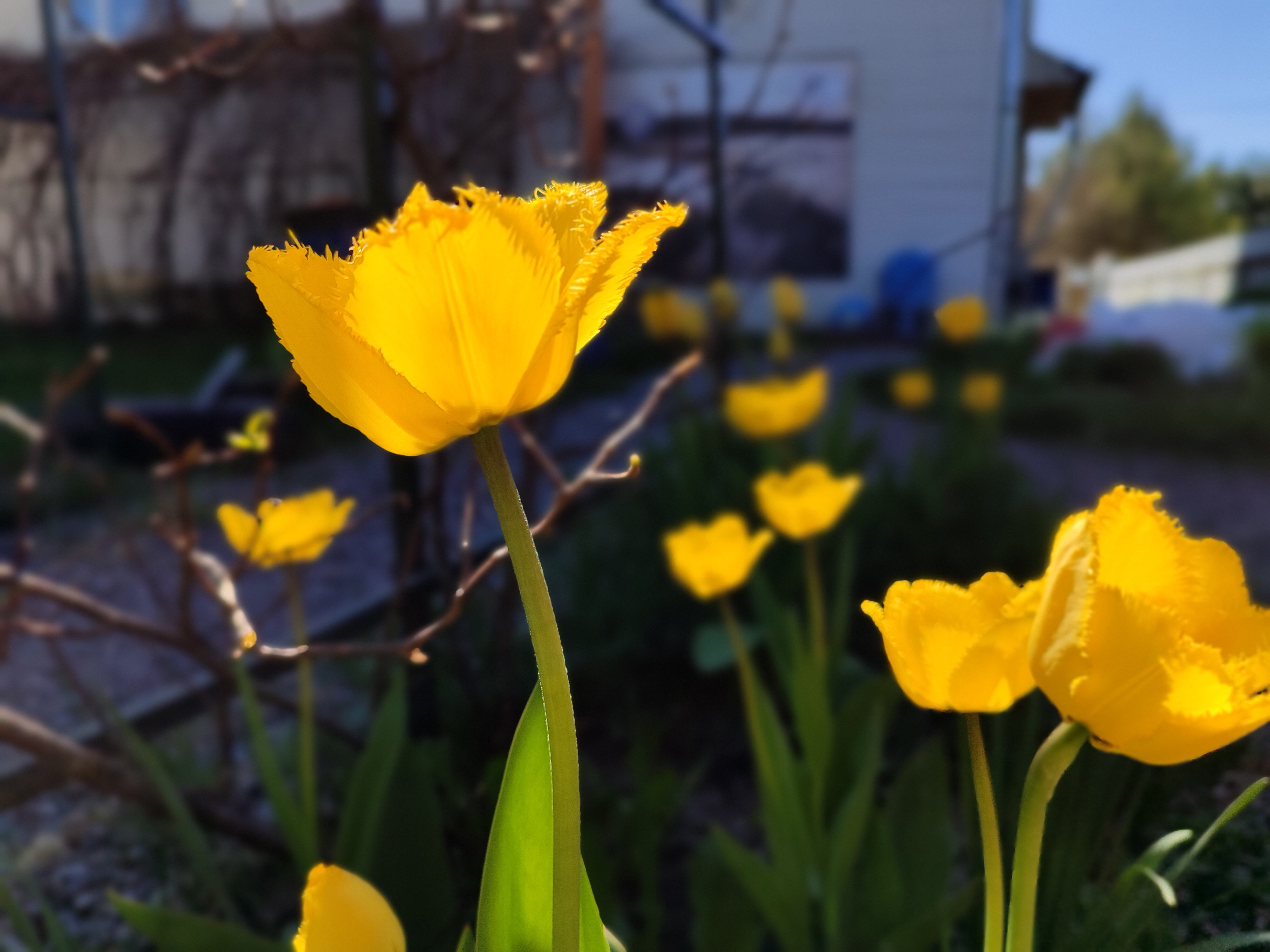 "Окно в Саблино", комната, эконом, трехместная, односпальные кровати + кресло-кровать, Wi-Fi, удобства на 5 комнат, 15 кв/м, 2 этаж