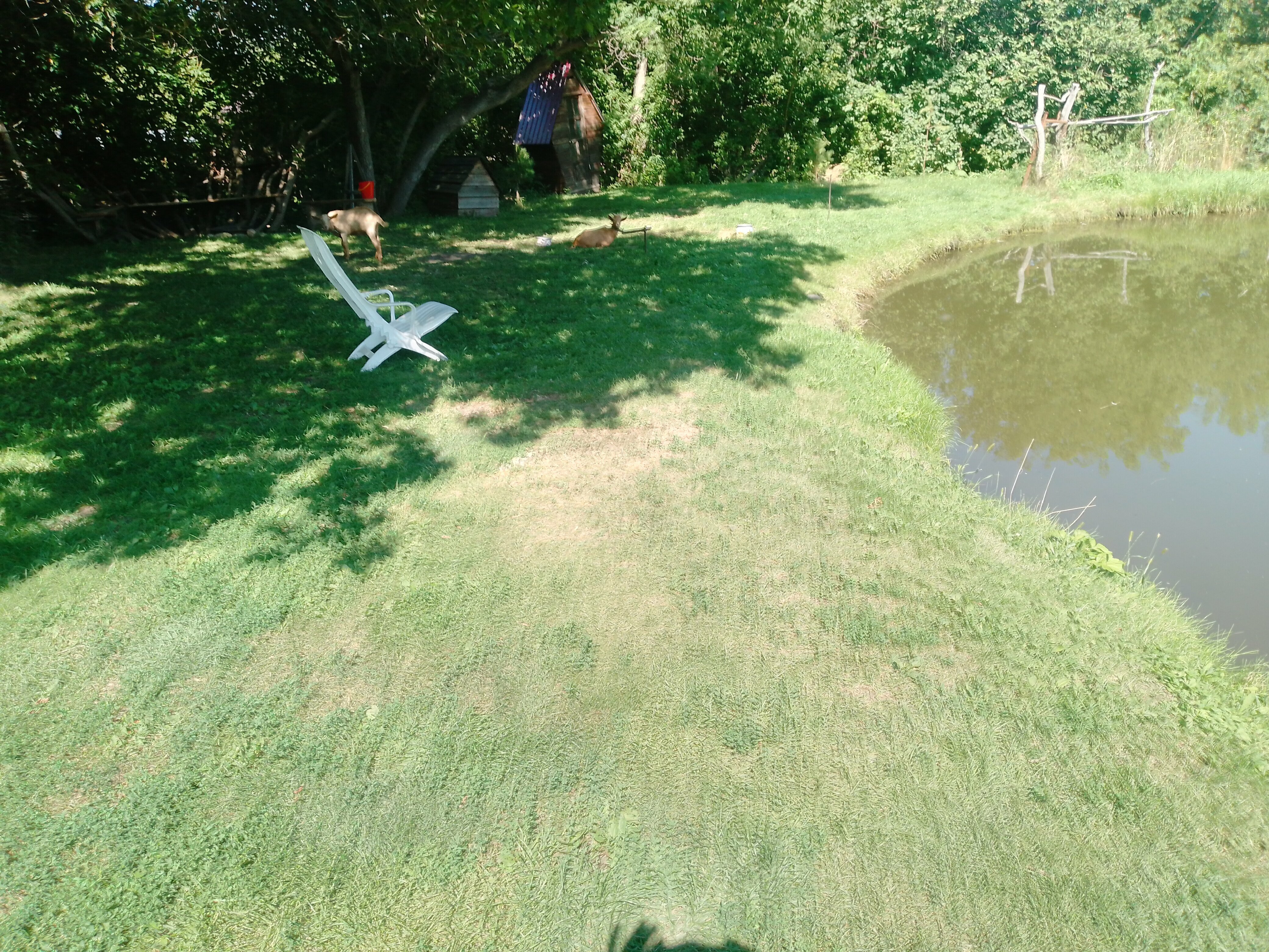 Двухместный номер Делюкс с 1 кроватью