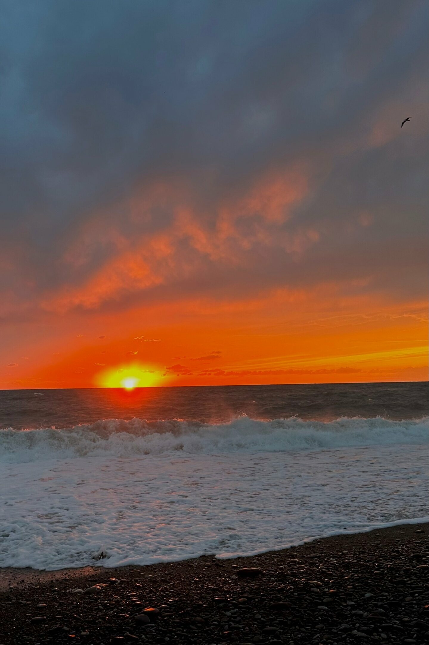 Двухместный номер с 2 отдельными кроватями