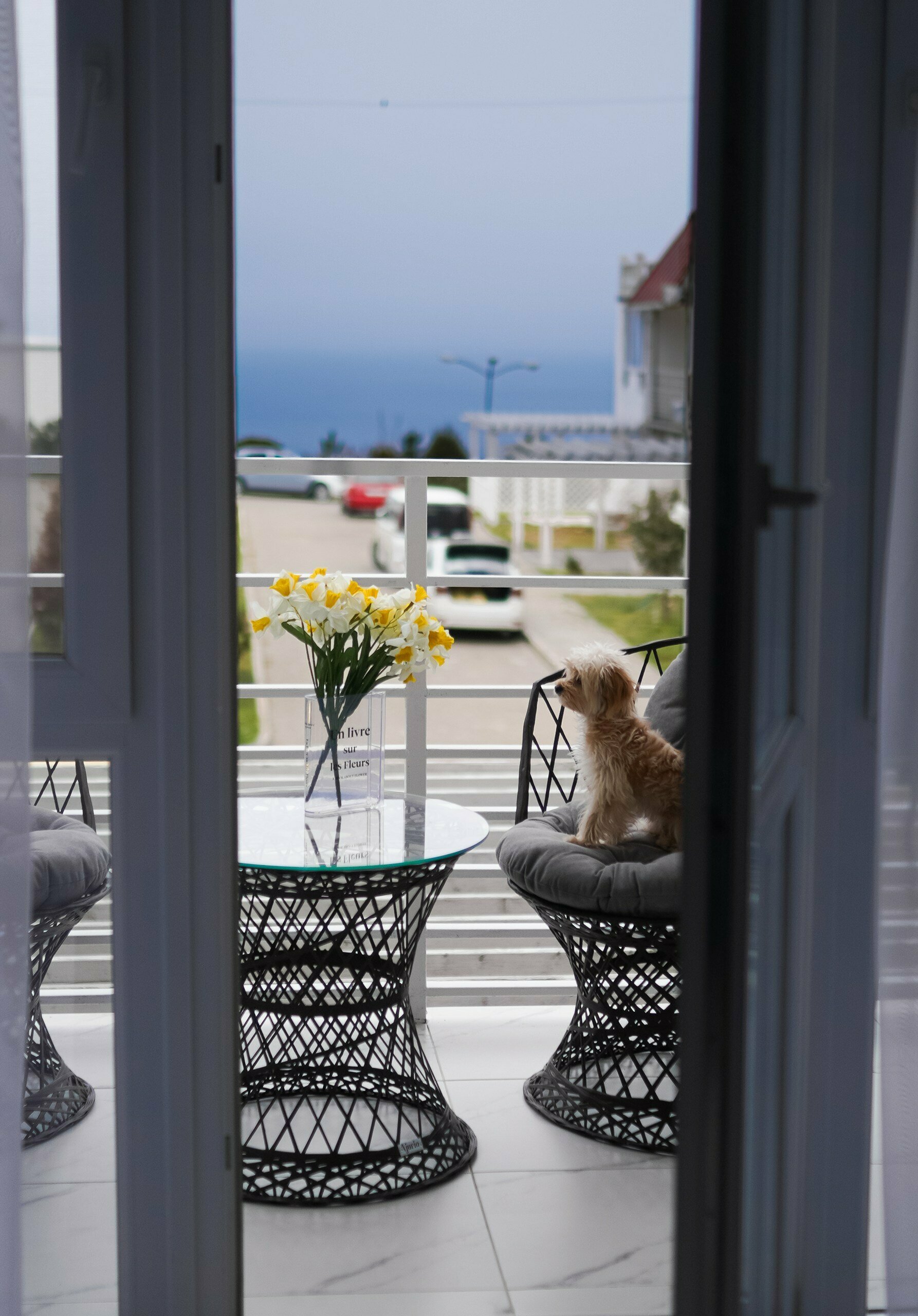 Апартаменты Elegans с видом на море