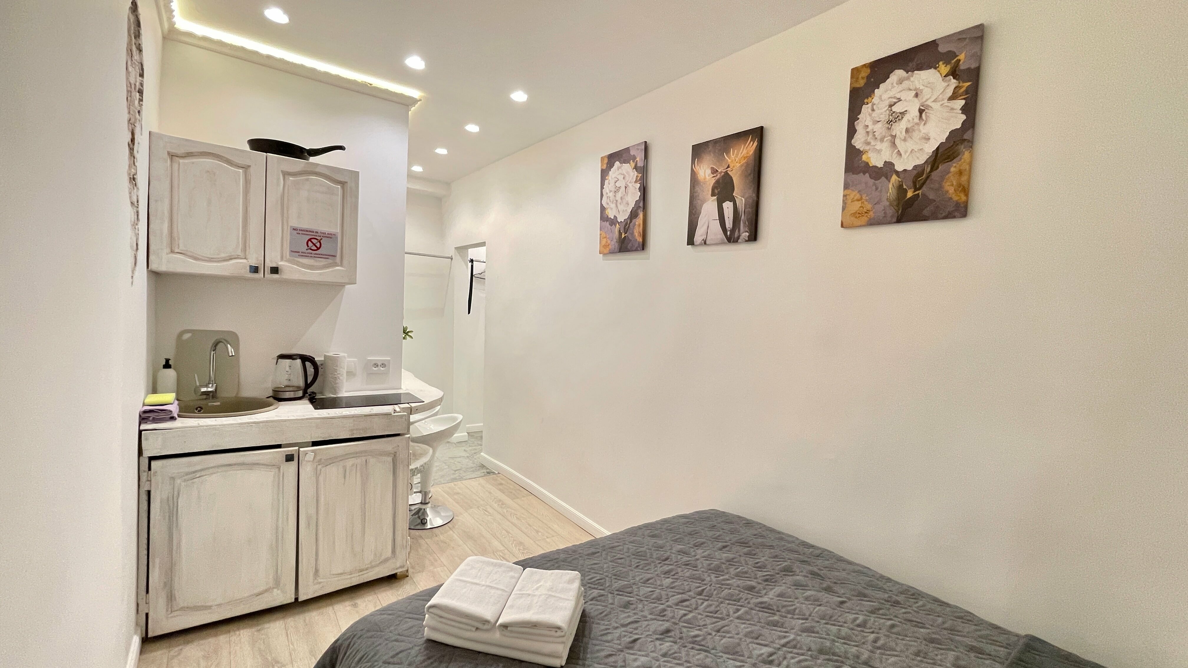 Двухместная студия на Рубинштейна 5