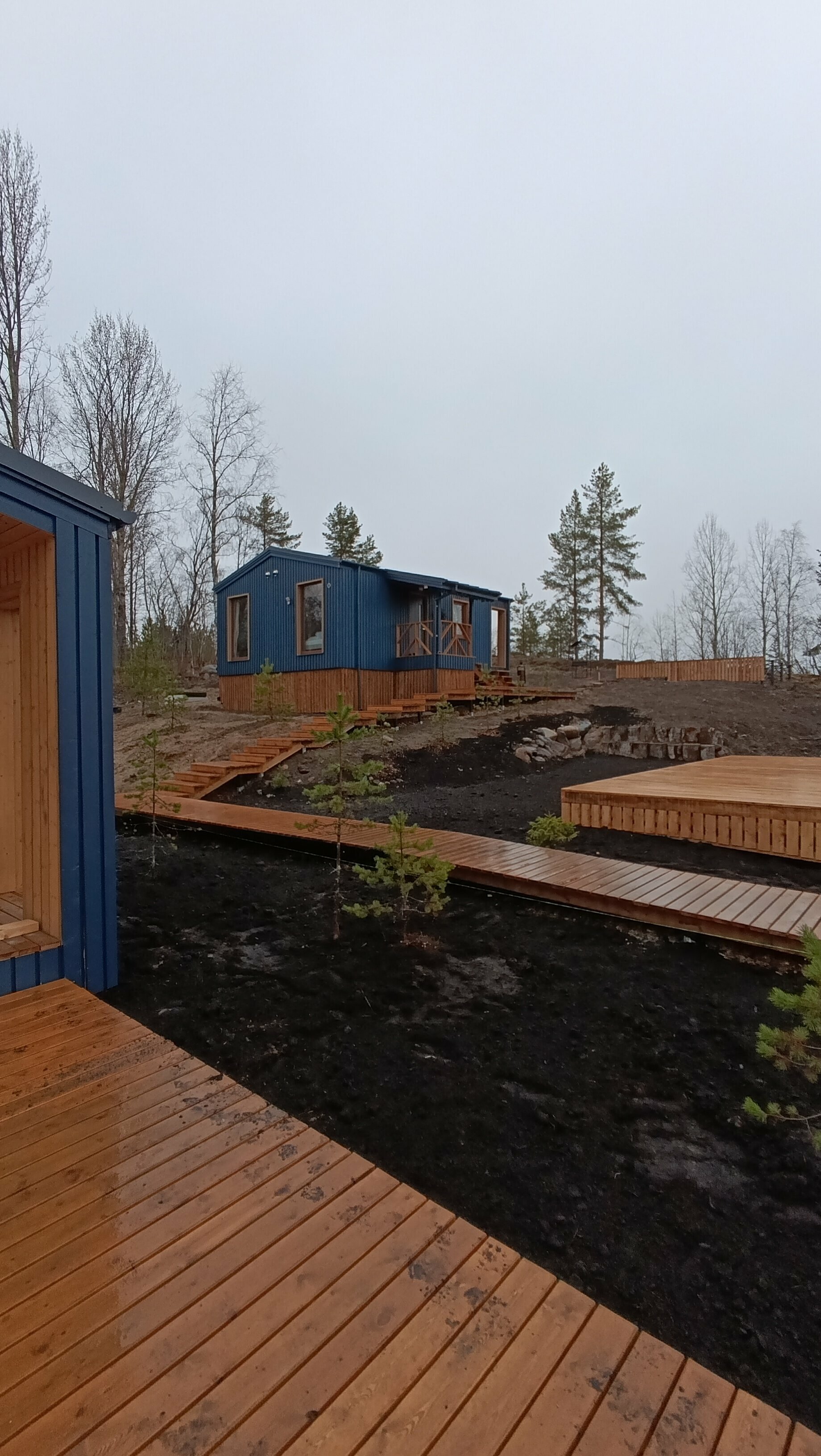 Дом с видом на лес