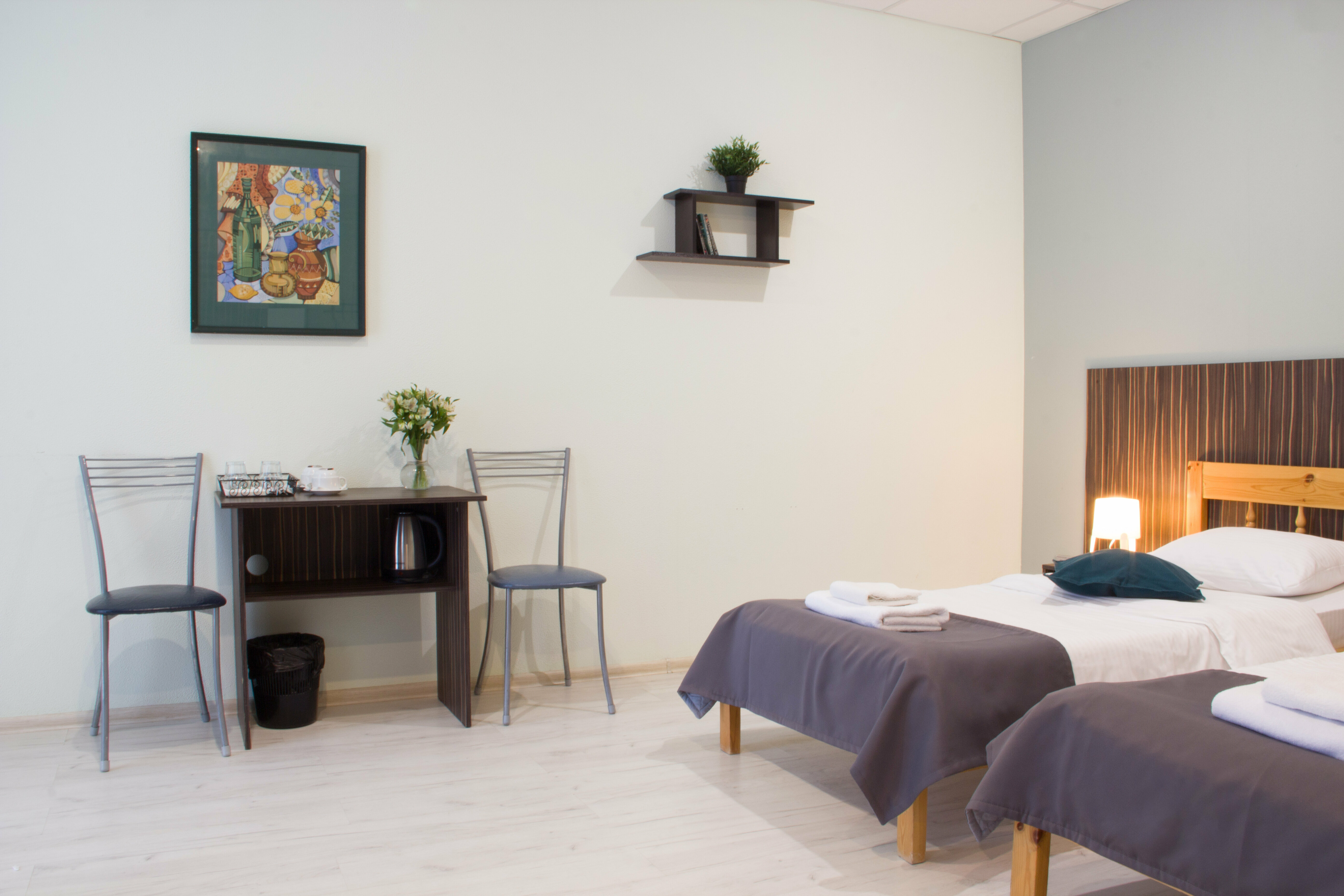 Двухместный номер с 2 отдельными кроватями и террасой