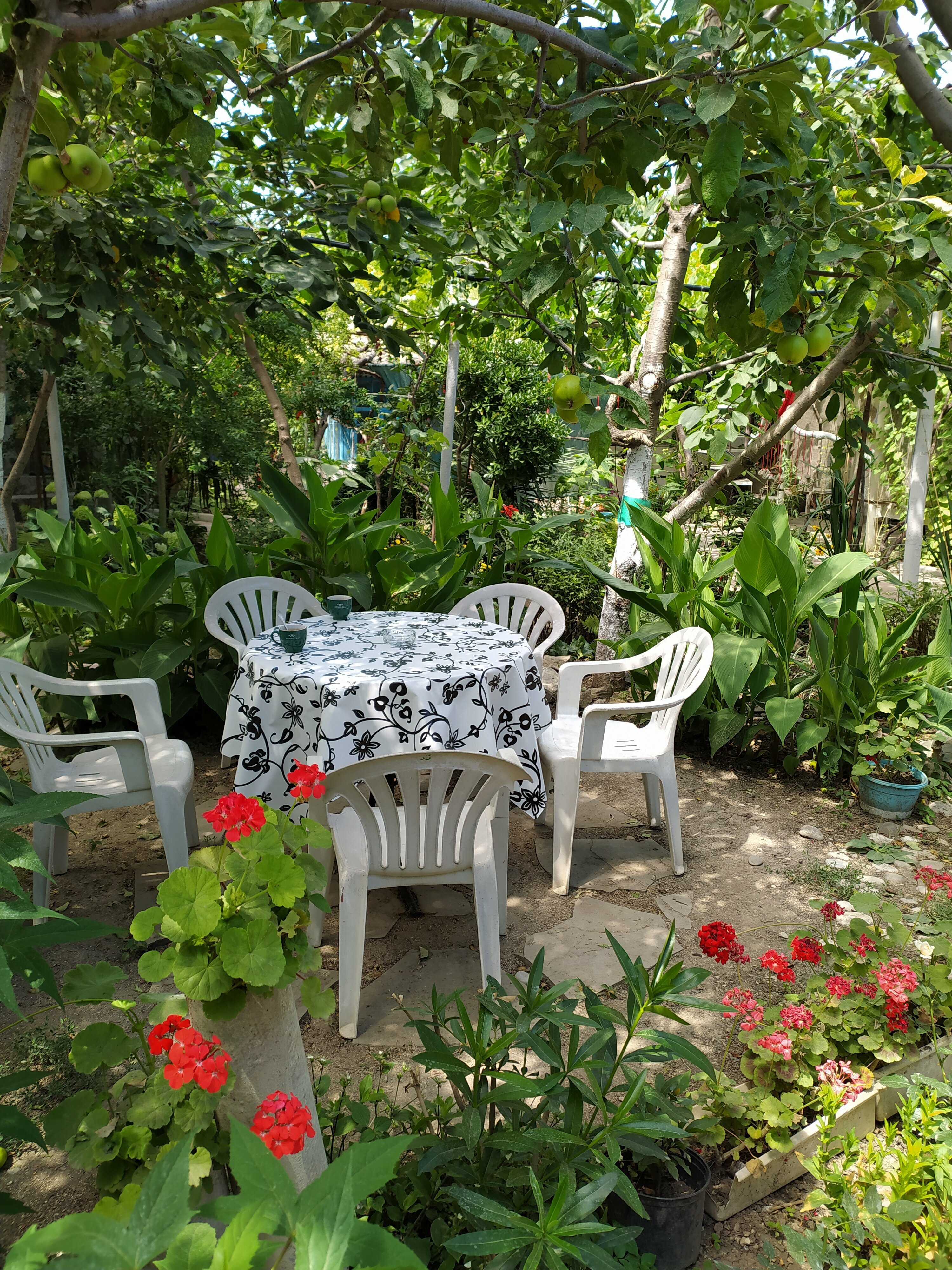 Двухместный номер эконом-класса с 1 кроватью или 2 отдельными кроватями