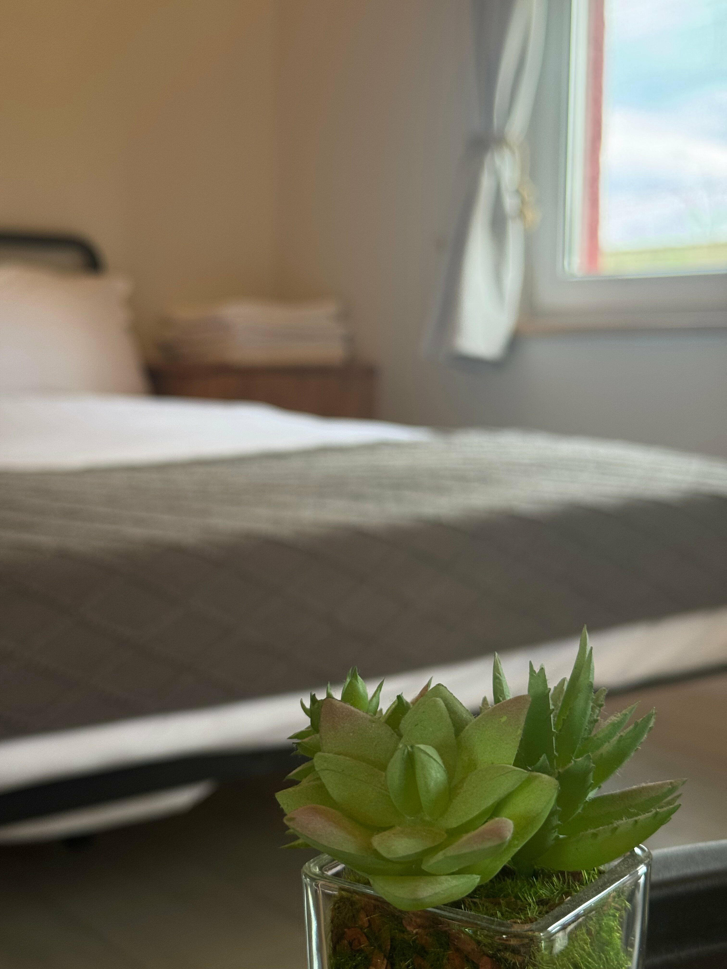 Бунгало желтый