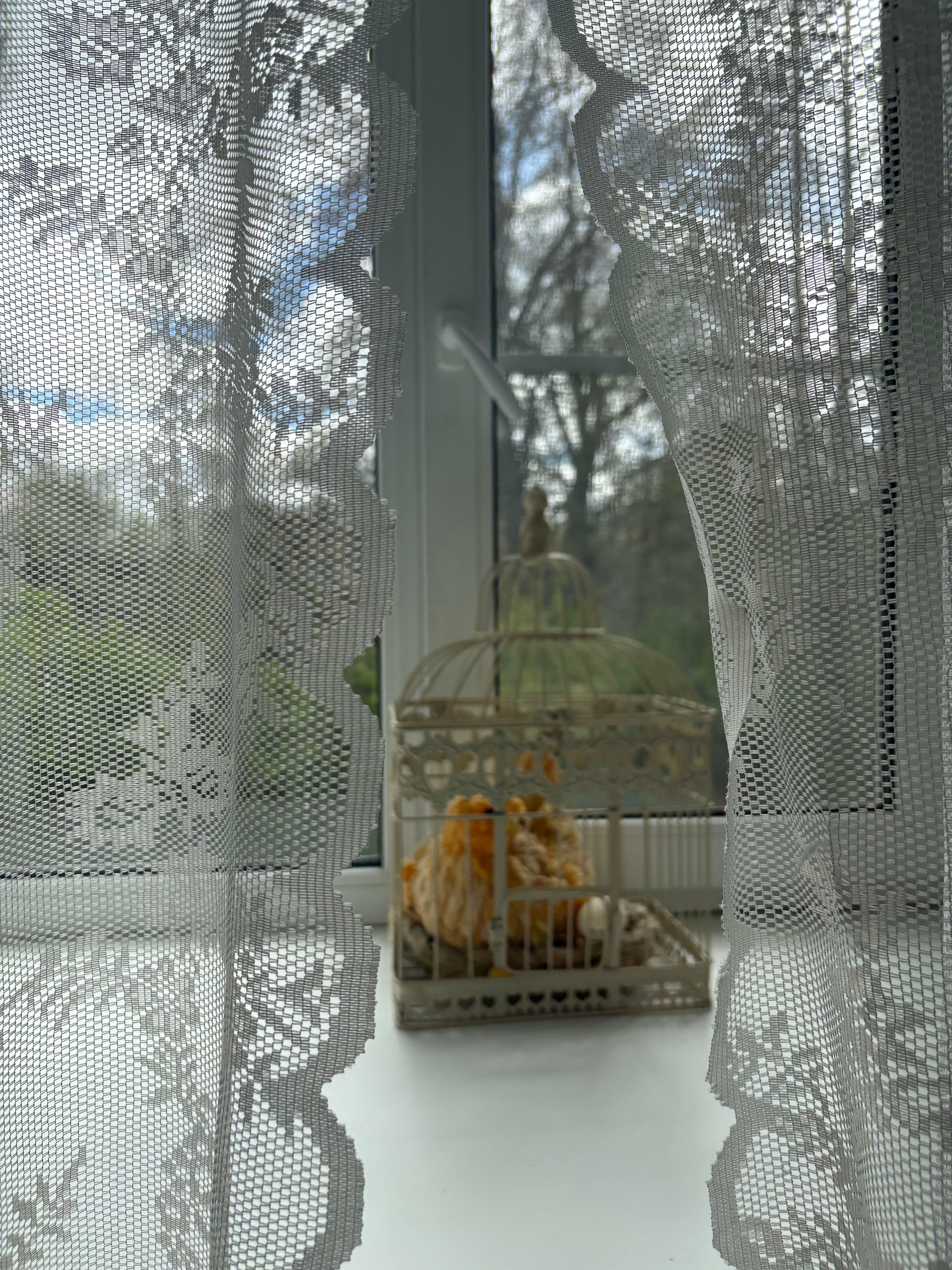 Четырехместный номер эконом класса