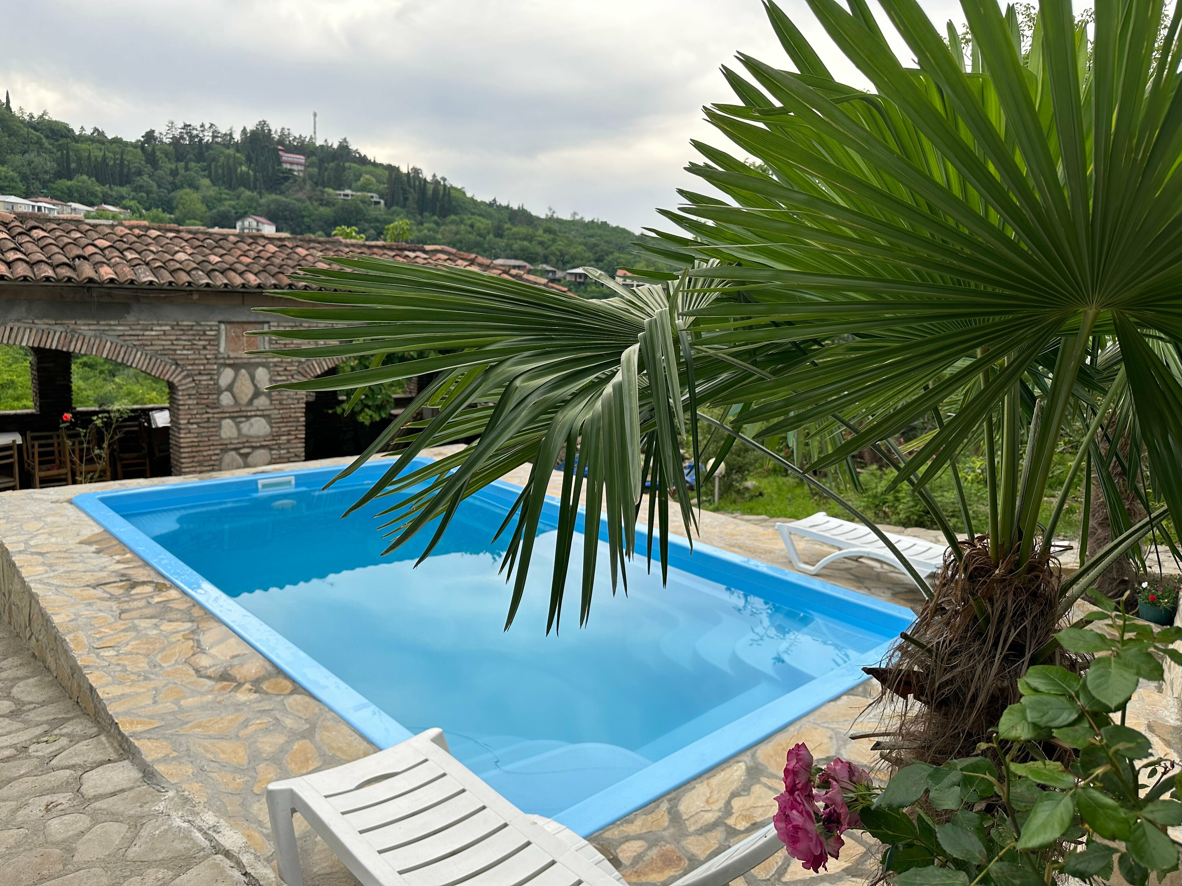 Двухместный номер с 1 кроватью и видом на горы