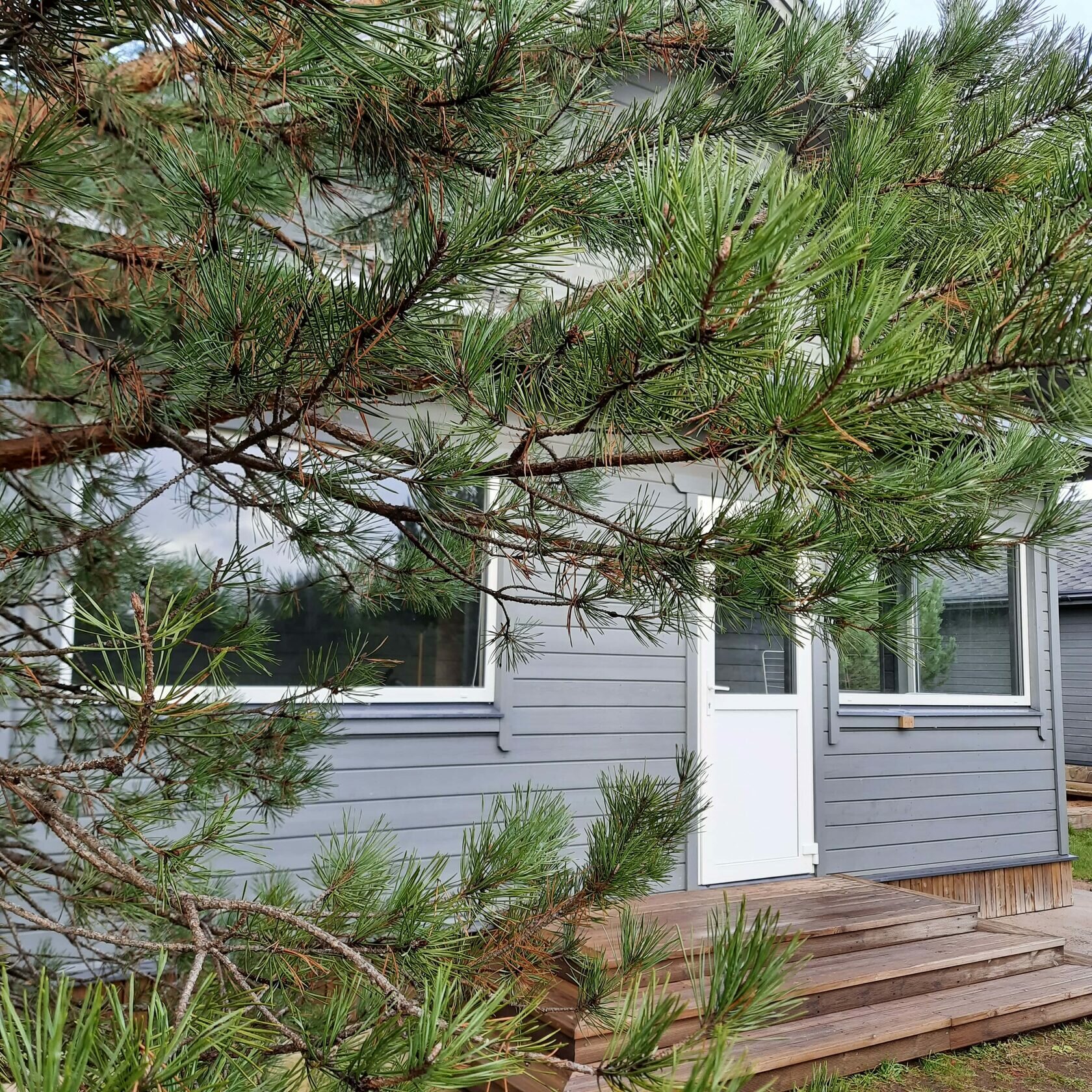 Дальний  Дом