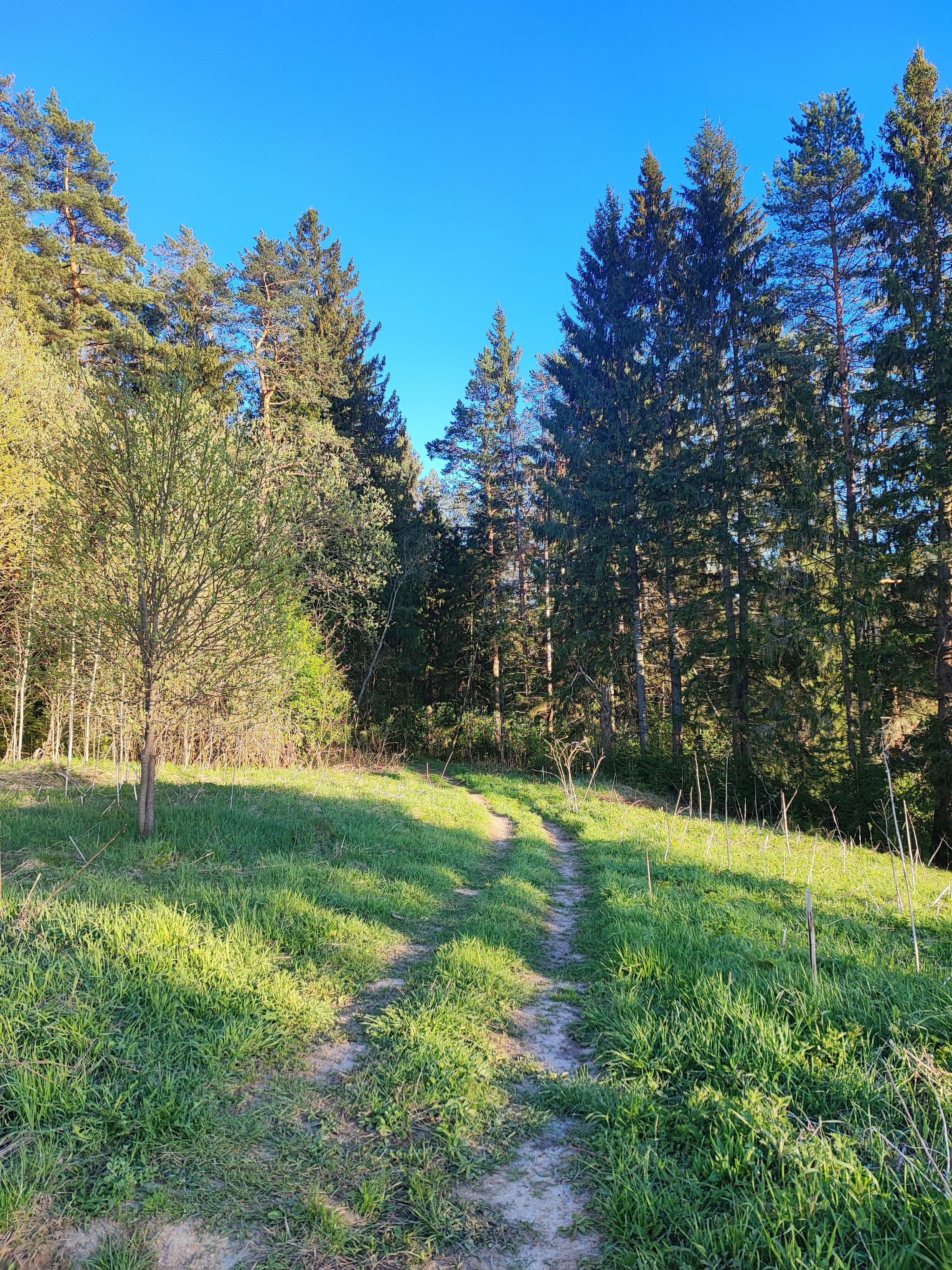 Деревянный коттедж (половина 4П), 2 этажа на 3 человека