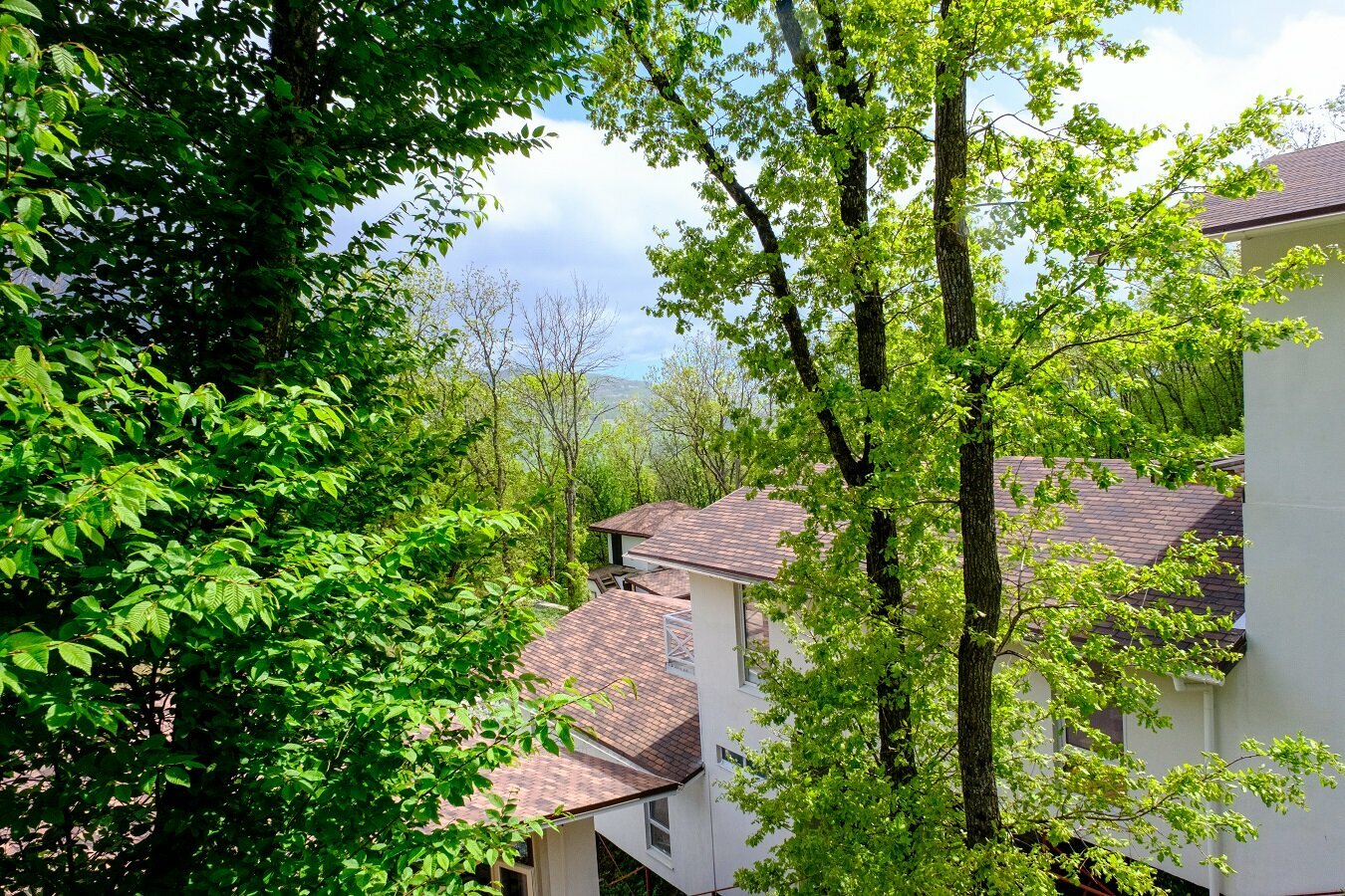 Фитнес Лагерь: Двухместное размещение в 2х комнатном домике