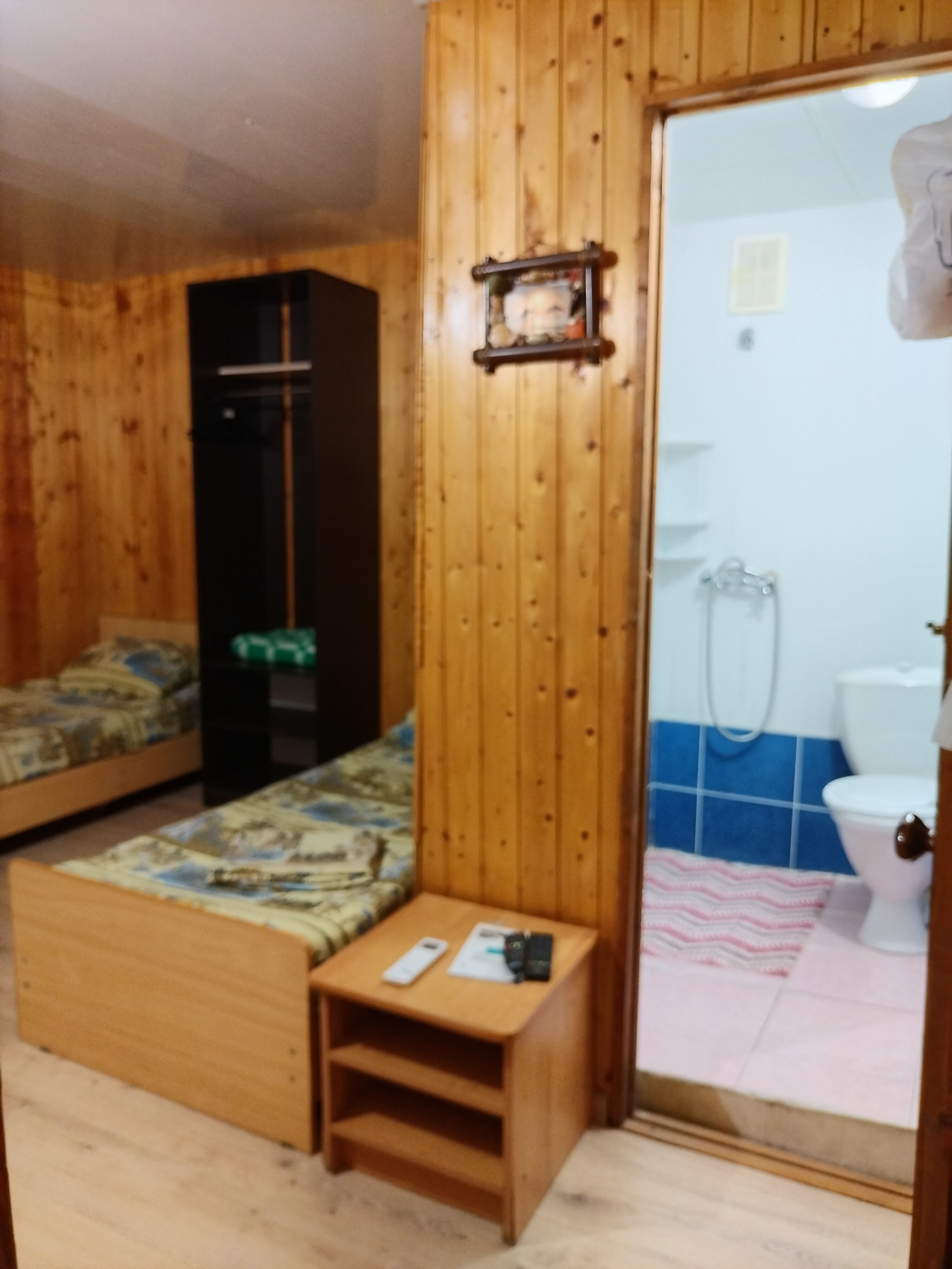 Двухместный номер с 1 кроватью