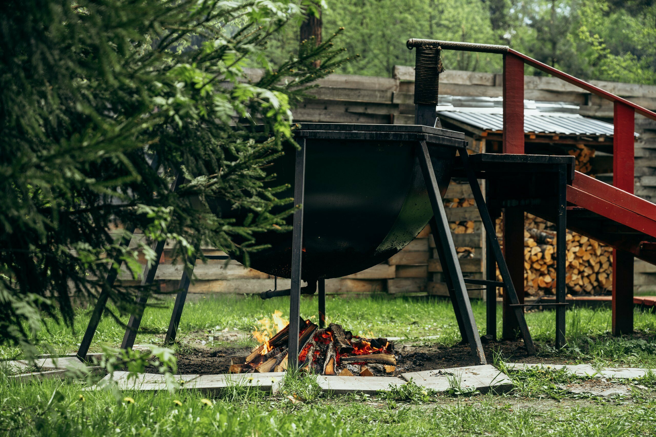 Дом с видом на лес