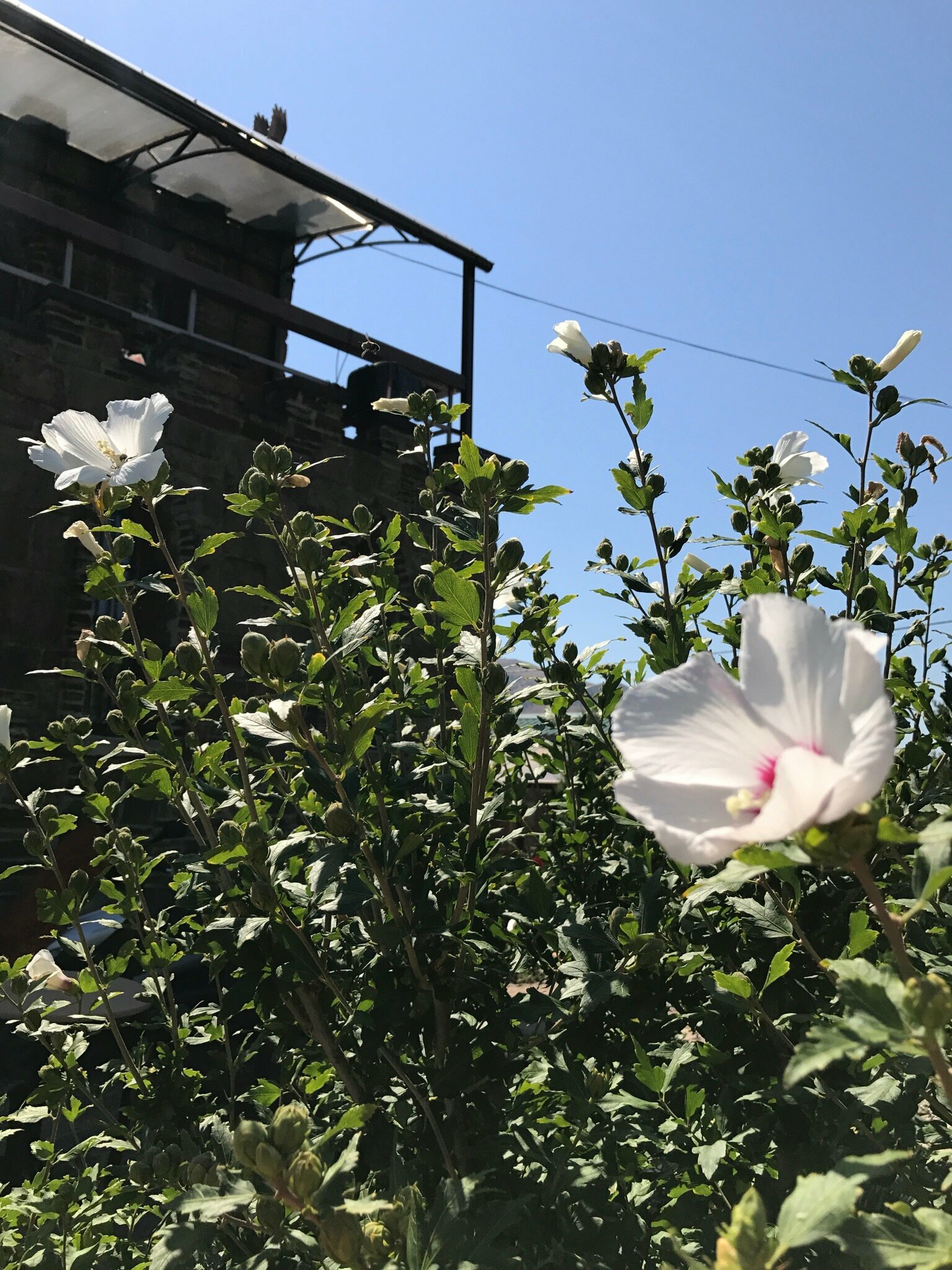 Семейный номер с балконом