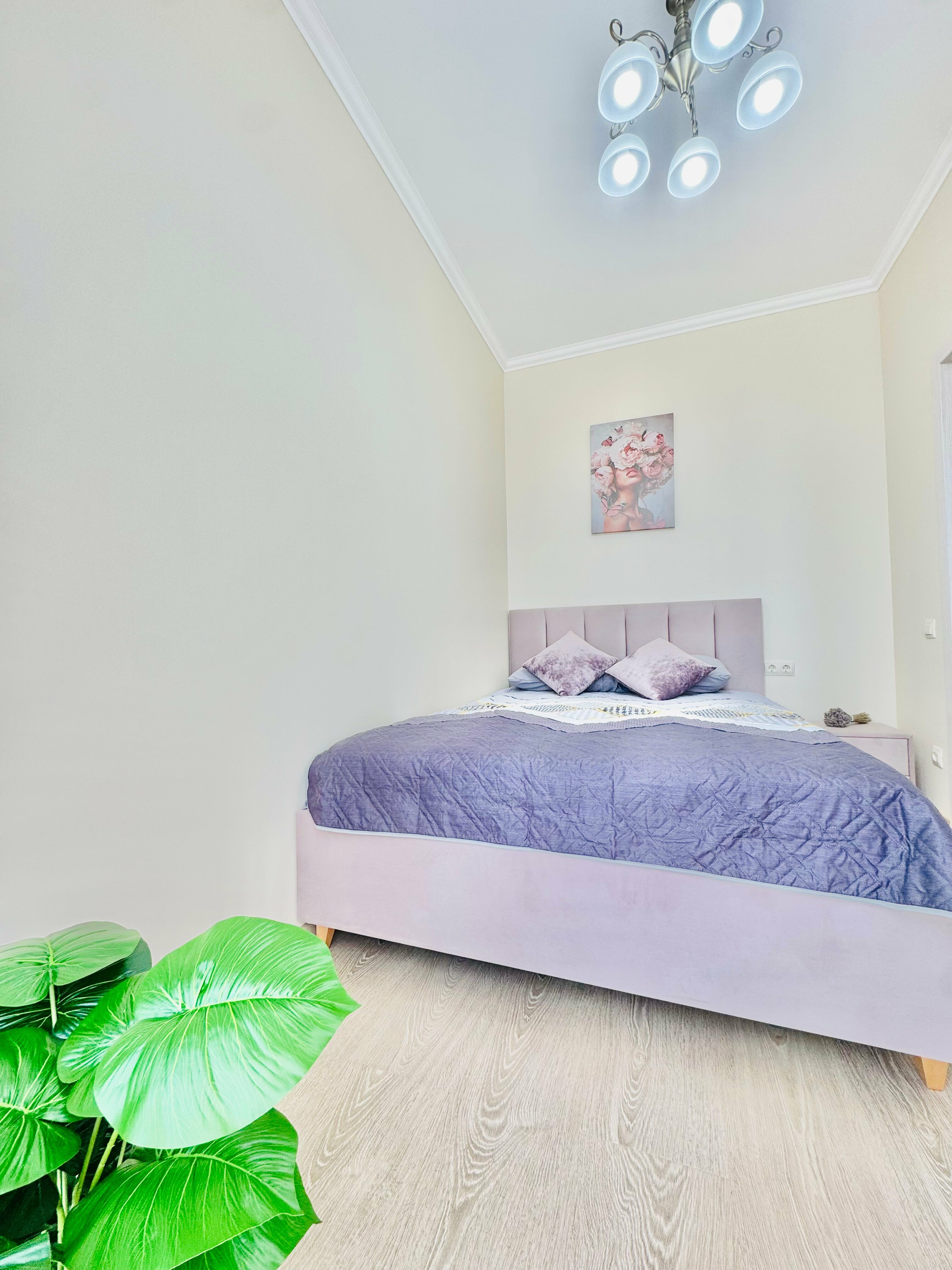 Апартаменты Делюкс