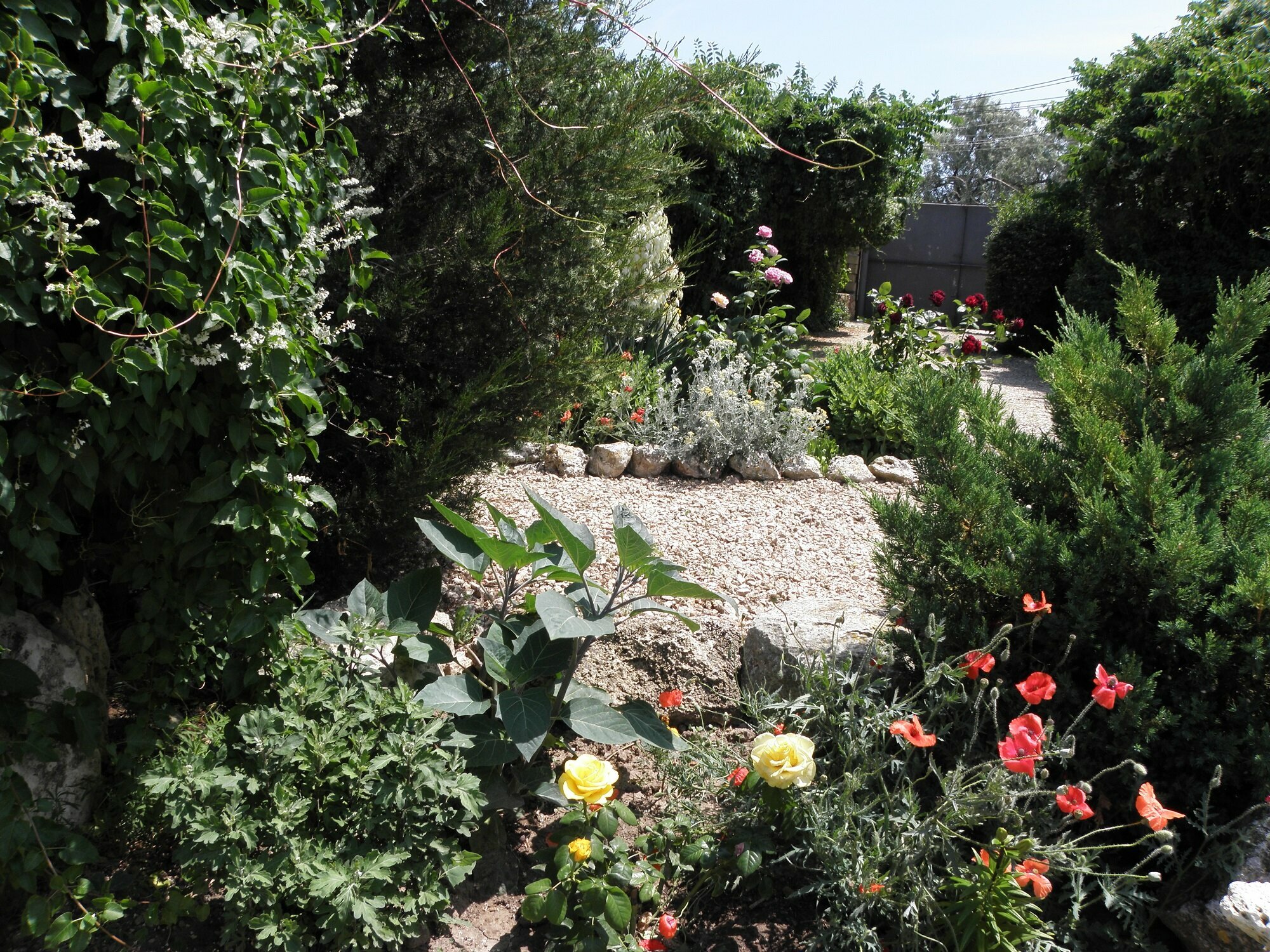 Классический четырехместный номер