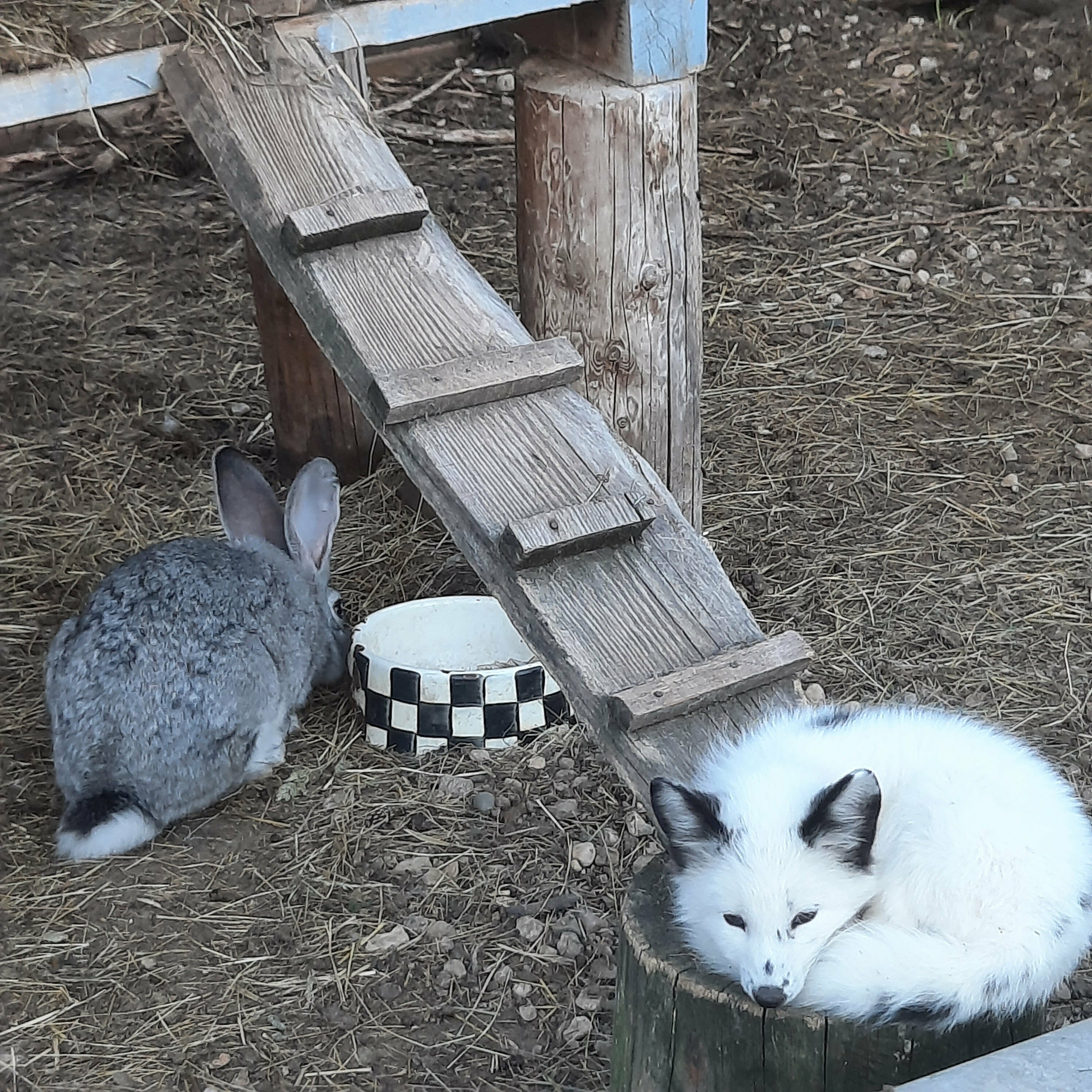 Семейный номер