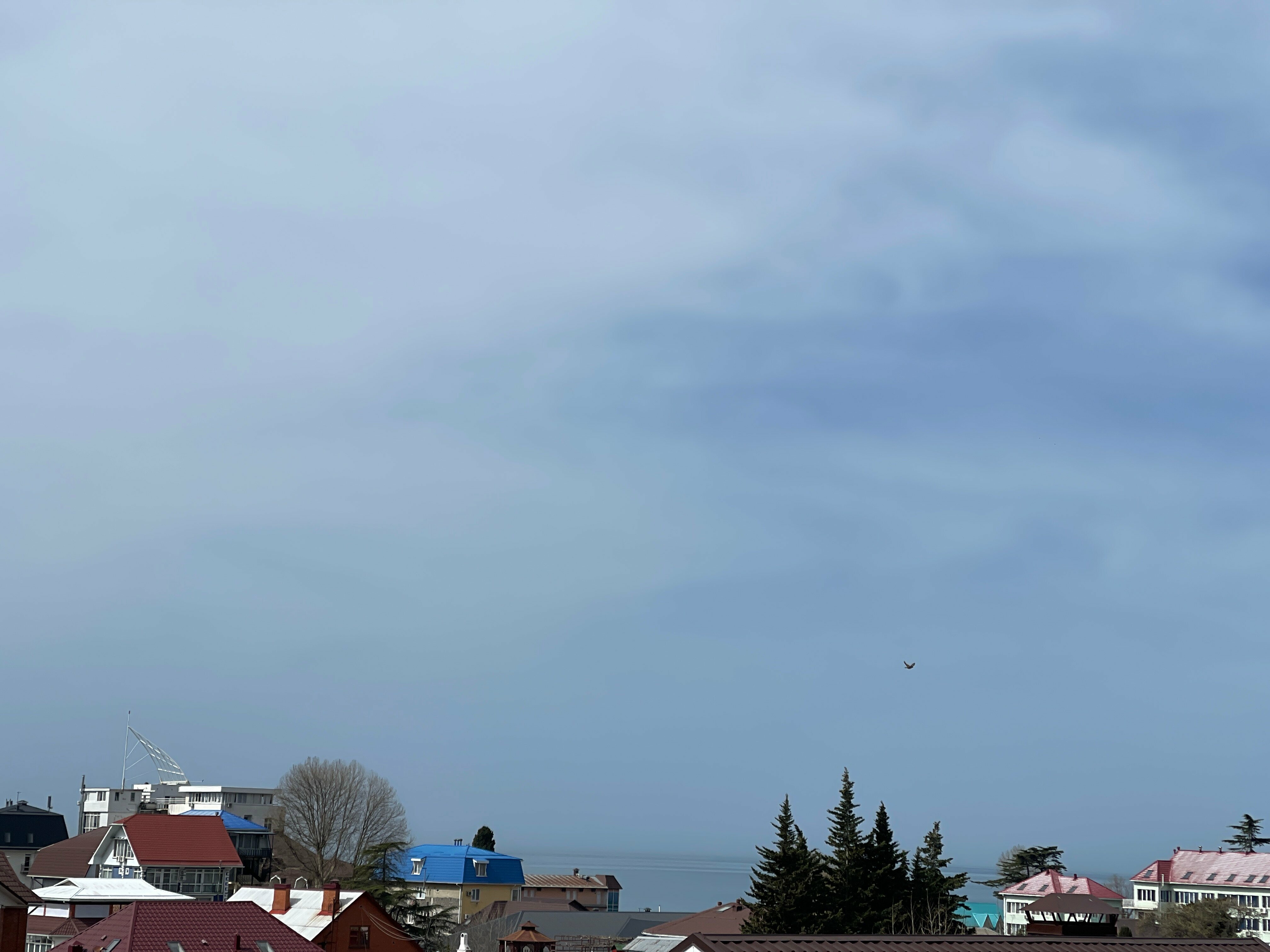 Трехместный повышенного комфорта (улучшенный), 5-й этаж (с видом на море)