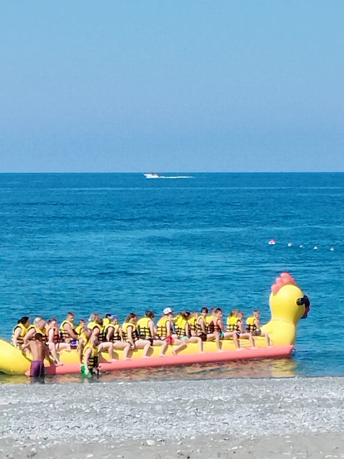 Номер-студия с видом на сад