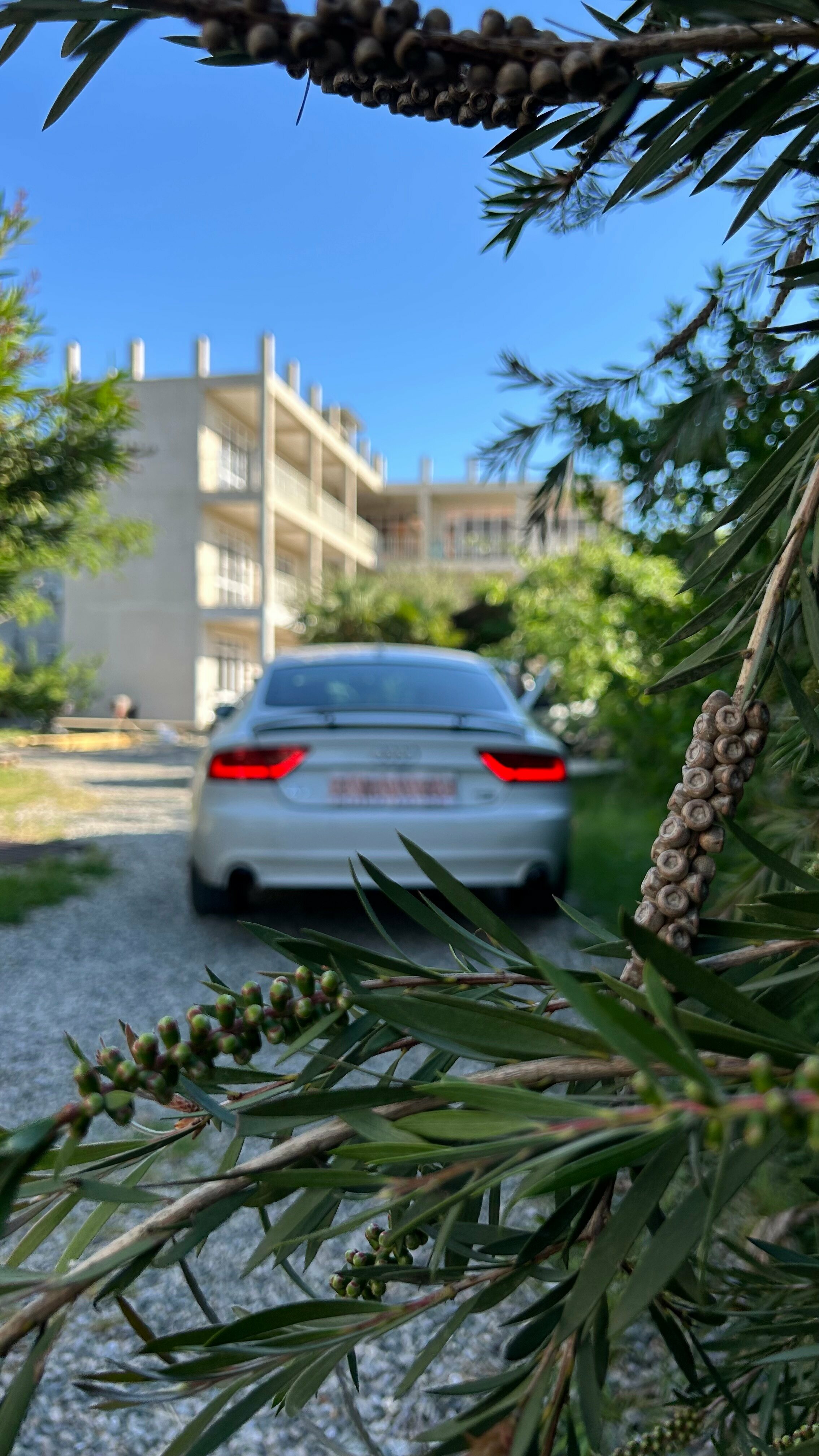 Семейный люкс