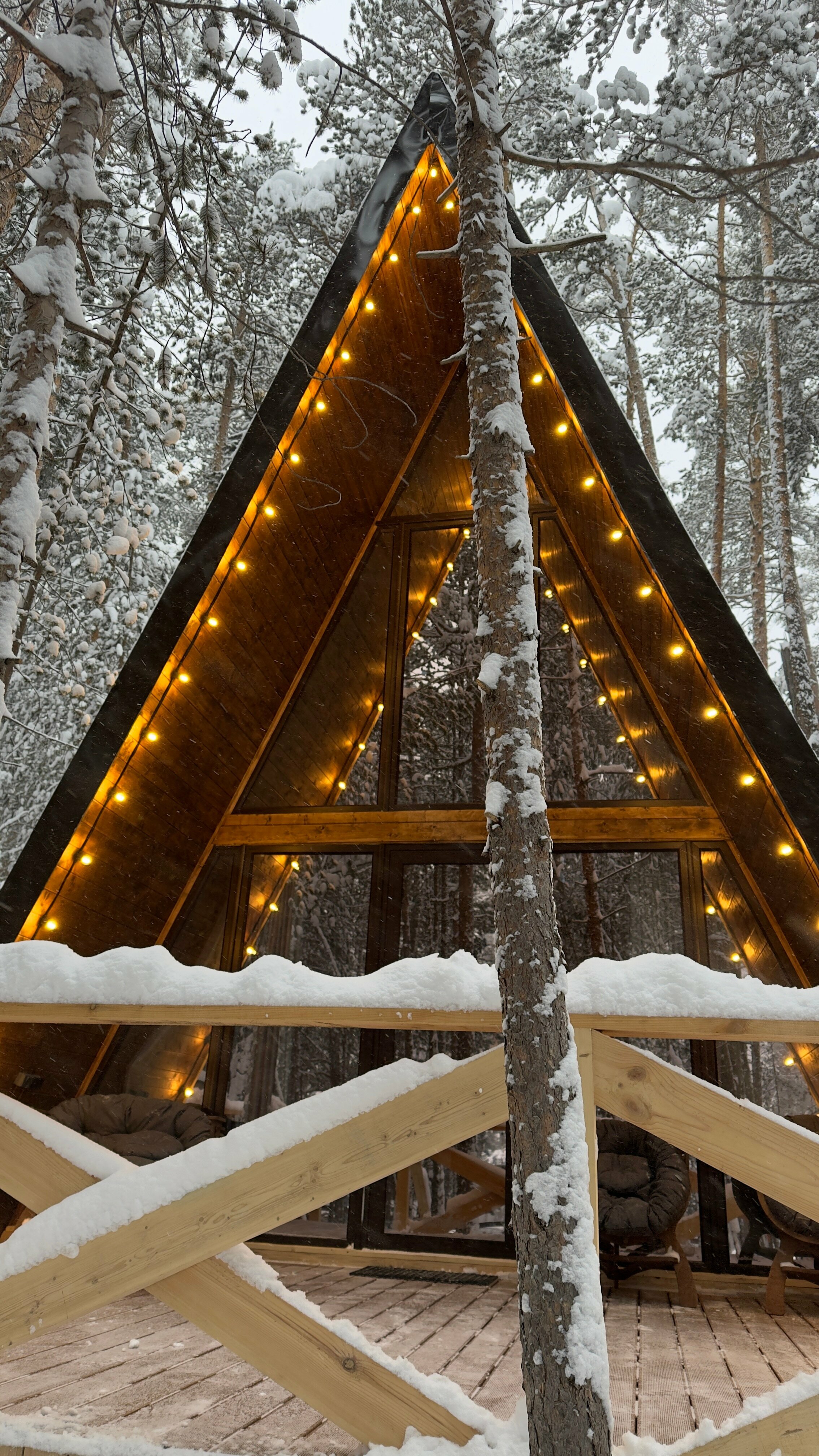 Шале с видом на хвойный лес