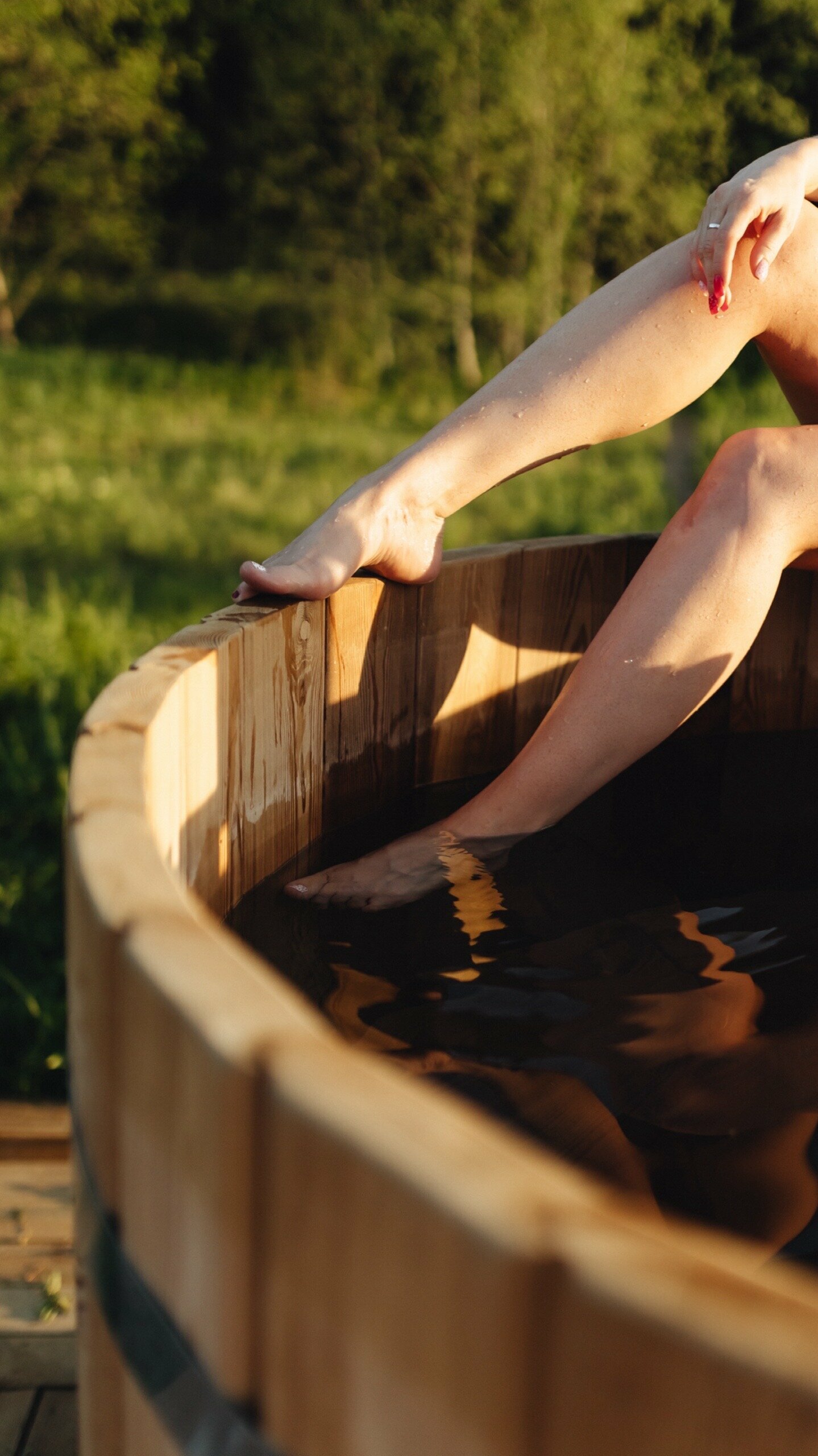 Дом с видом на лес