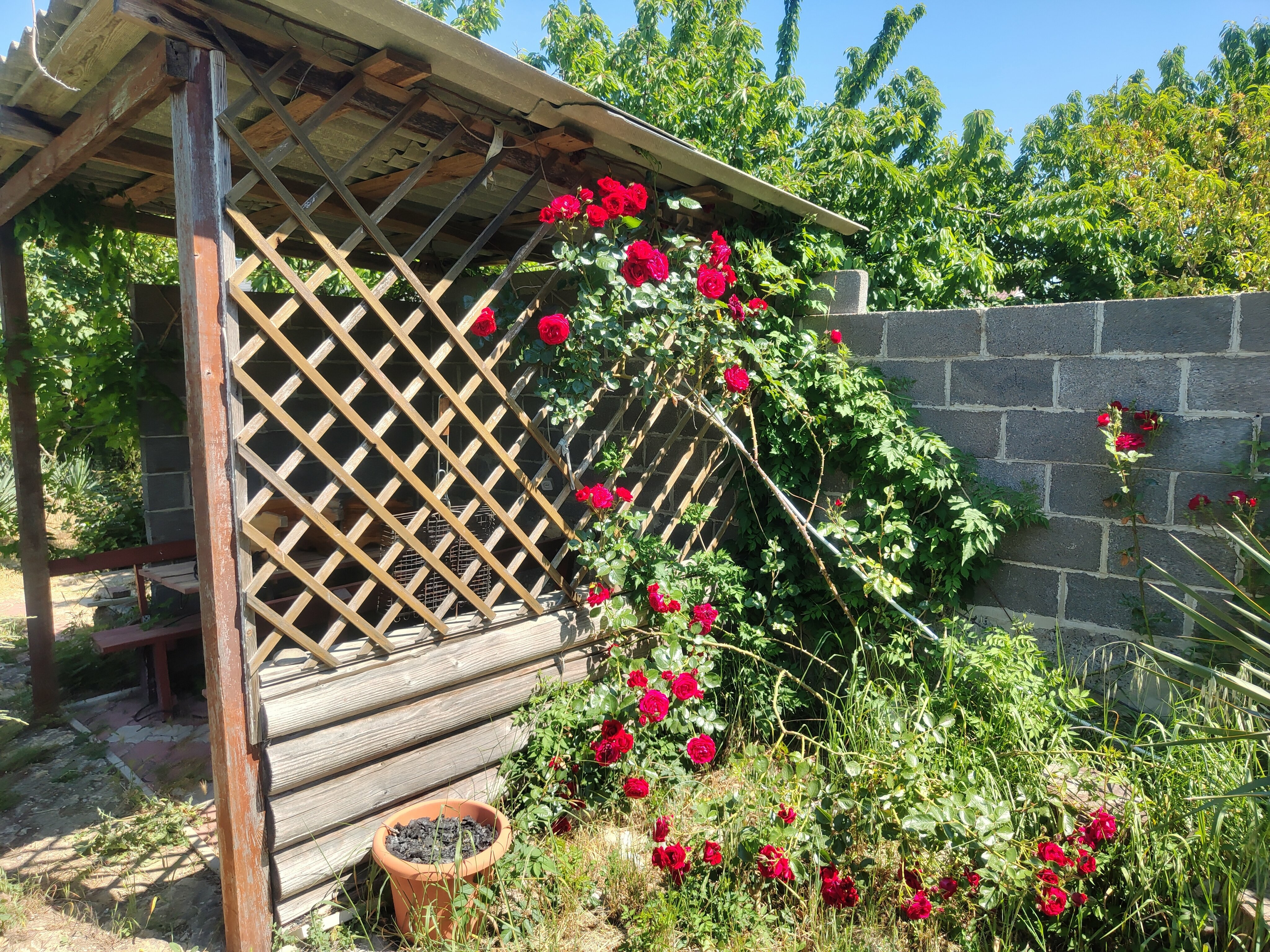 дом на 7 чел