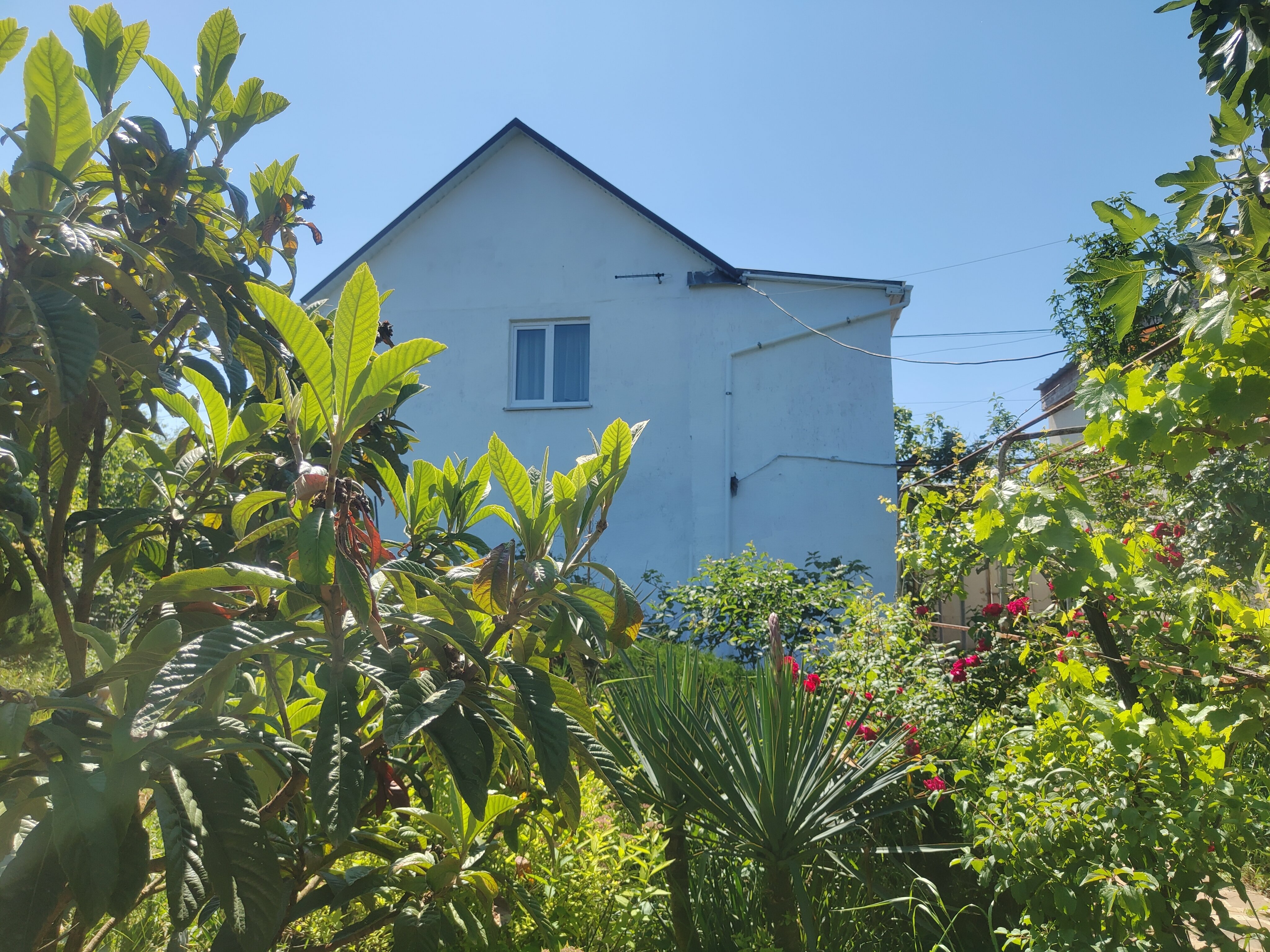 дом на 7 чел